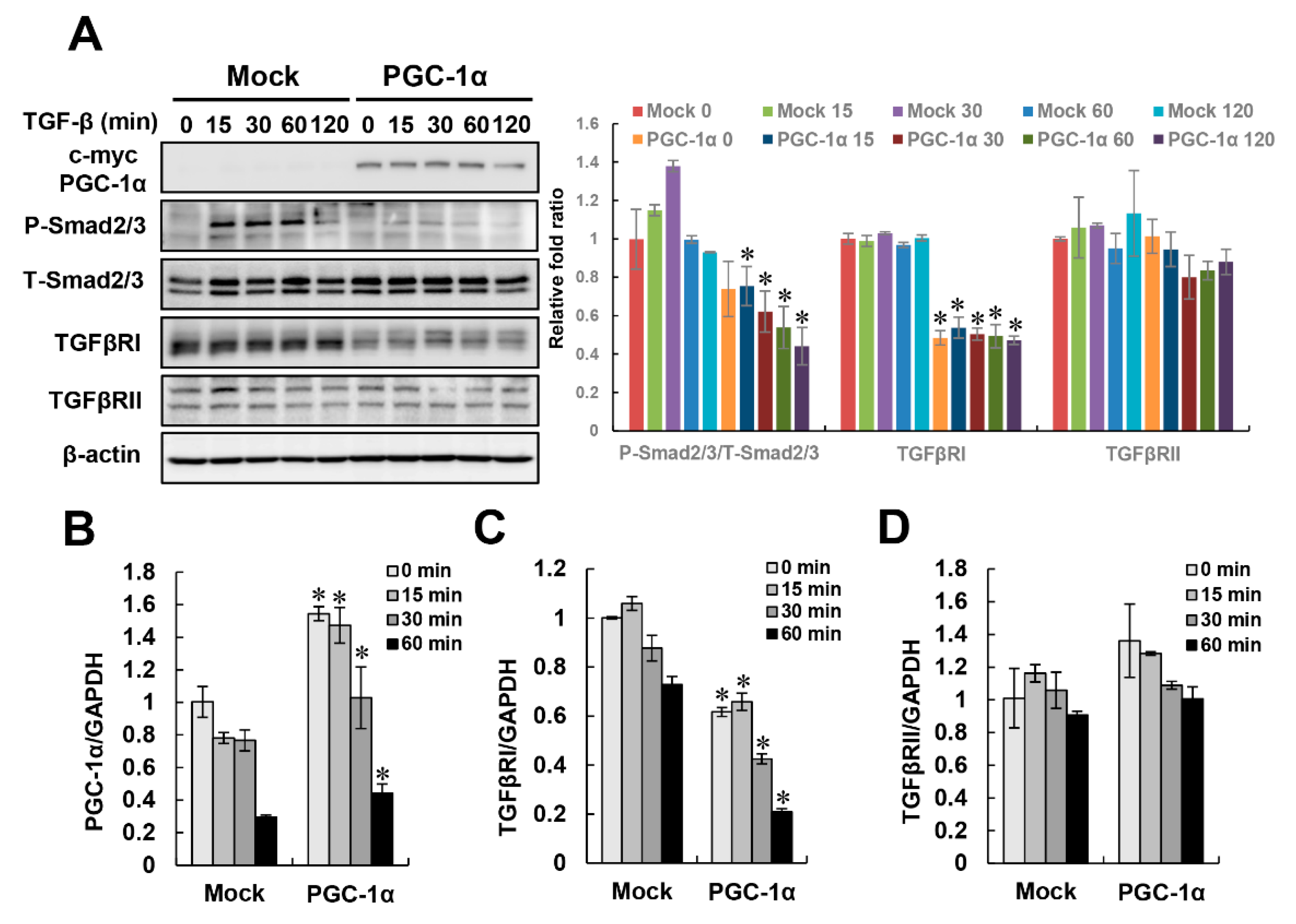 Ijms 20 05084 g004 Ijms 20 05084 g004