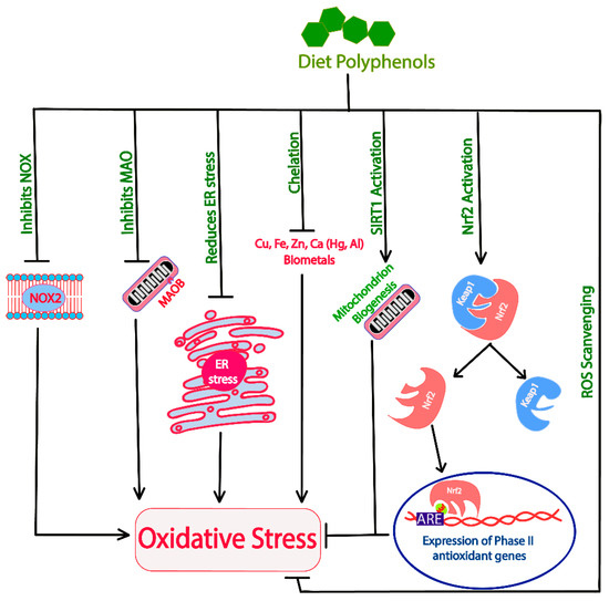 Dietary Polyphenols: A Multifactorial Strategy to Target Dietary Polyphenols: A Multifactorial Strategy to Target