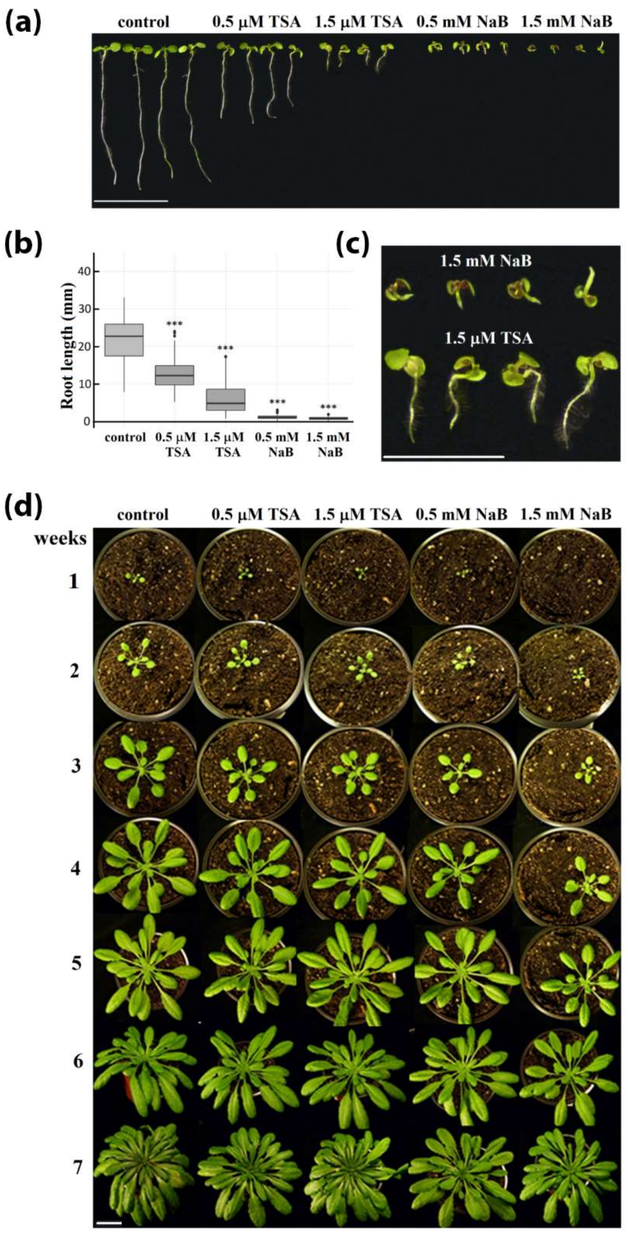 Ijms 20 05093 g001 Ijms 20 05093 g001