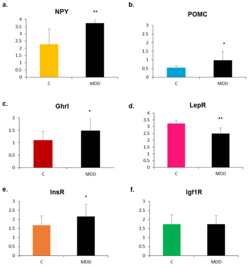 IJMS  Special Issue : Functional Mechanism of B-Vitamins 
