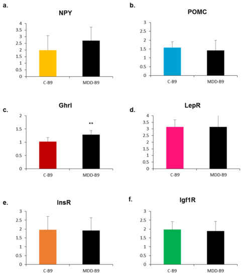 IJMS  Special Issue : Functional Mechanism of B-Vitamins 