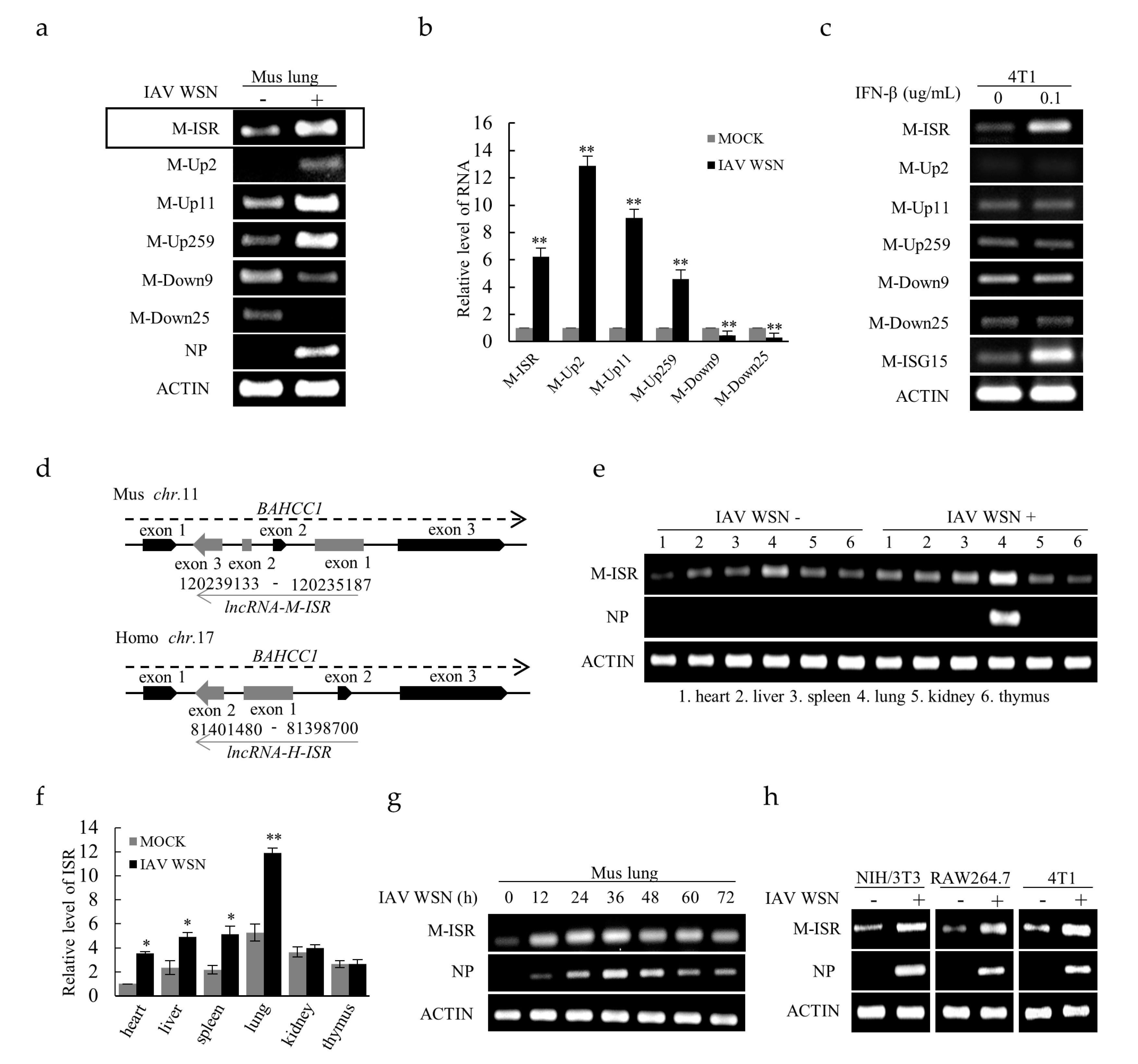 Ijms 20 05118 g001 Ijms 20 05118 g001