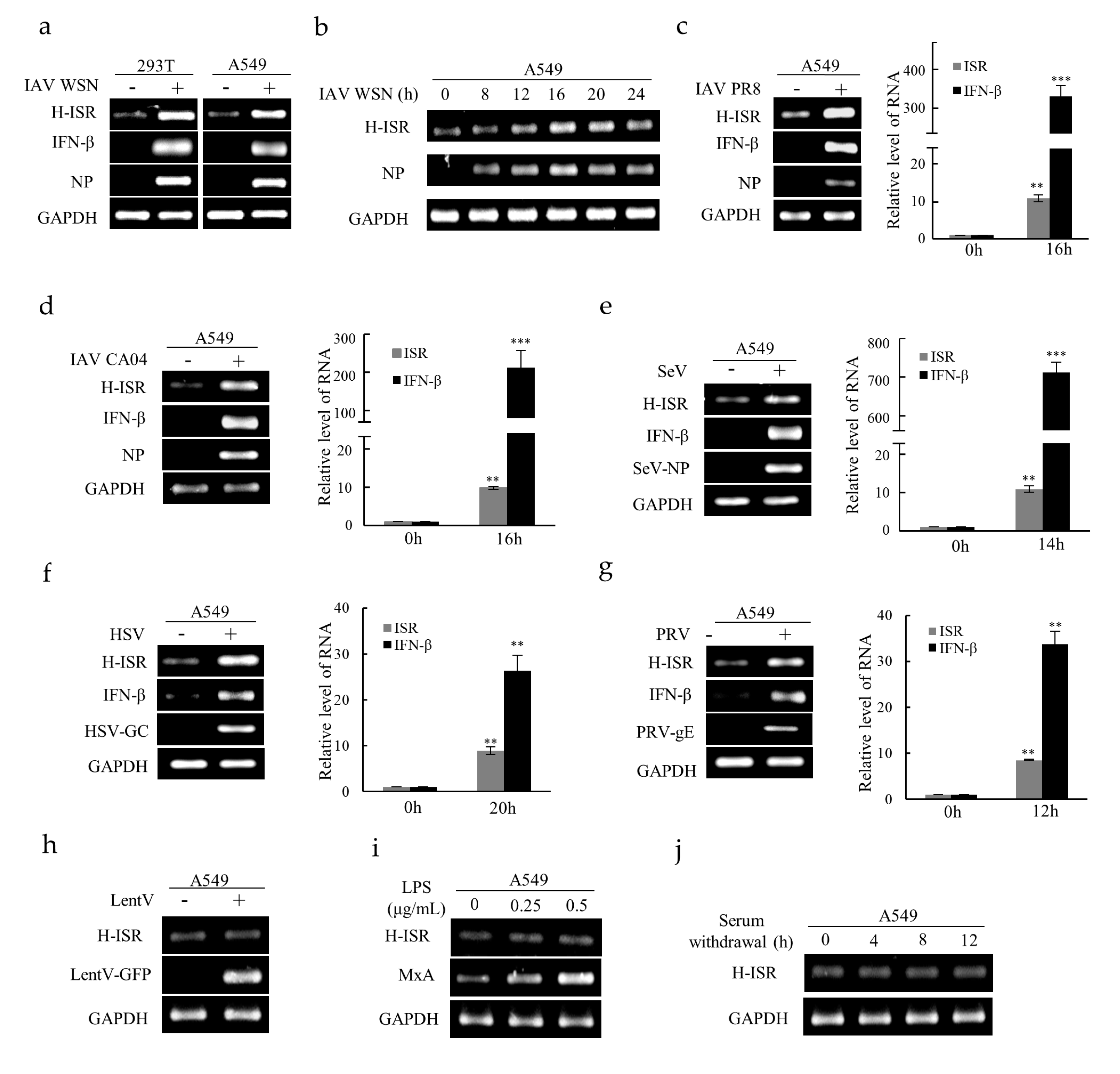 Ijms 20 05118 g002 Ijms 20 05118 g002