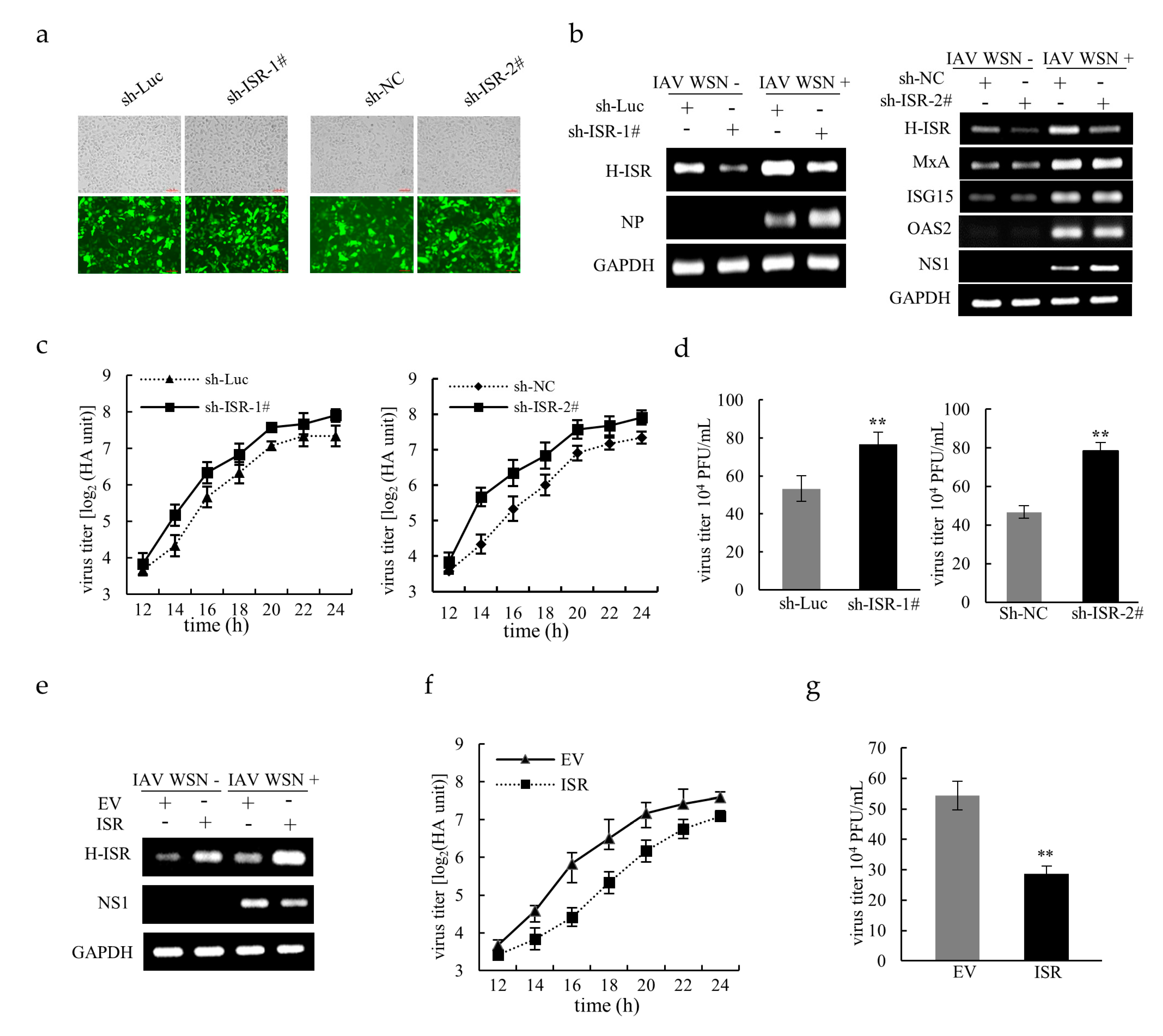 Ijms 20 05118 g003 Ijms 20 05118 g003