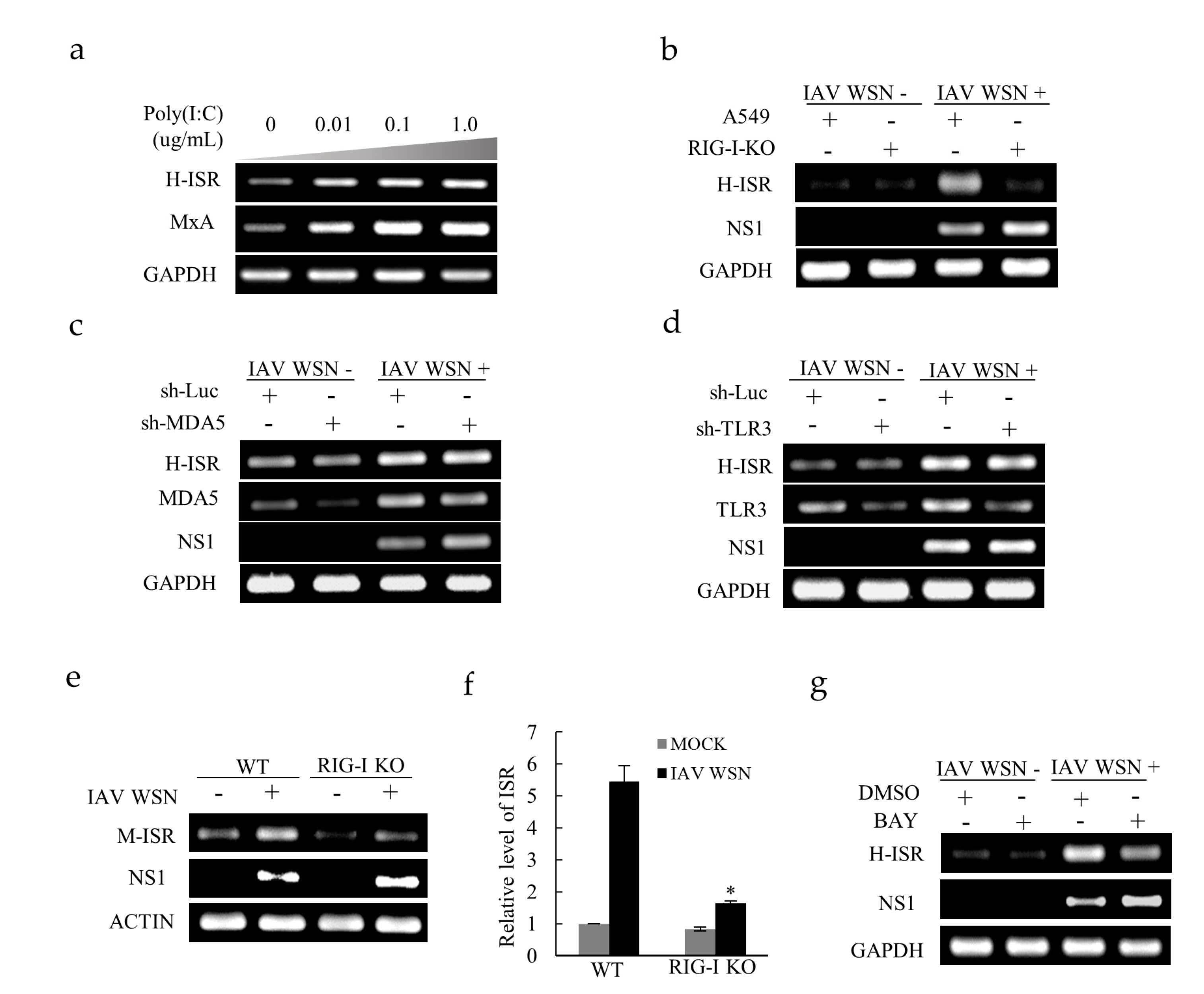 Ijms 20 05118 g004 Ijms 20 05118 g004