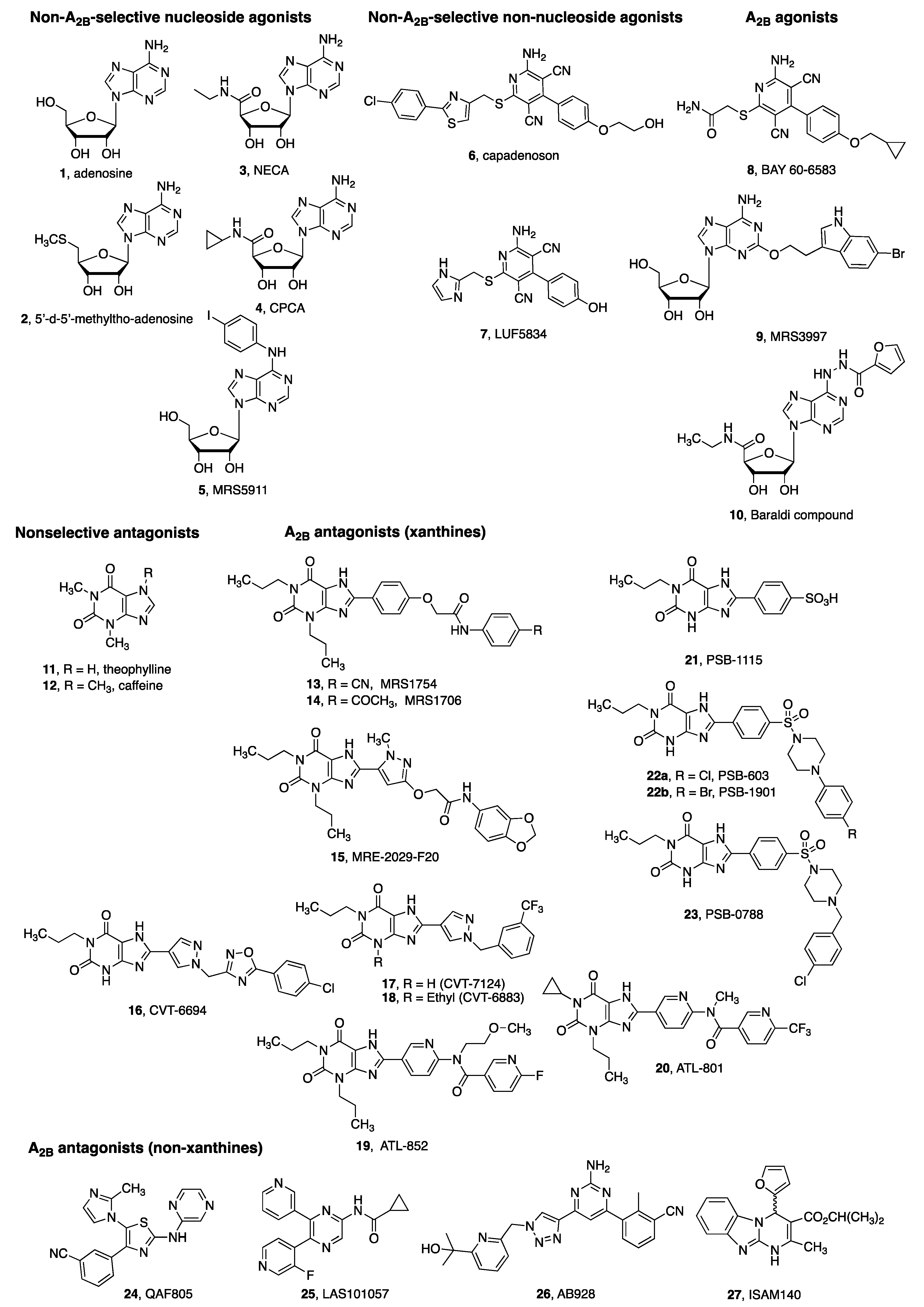 Ijms 20 05139 g002 Ijms 20 05139 g002