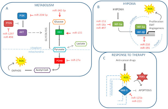 MicroRNA and Oxidative Stress Interplay in the Context of Breast Cancer ...