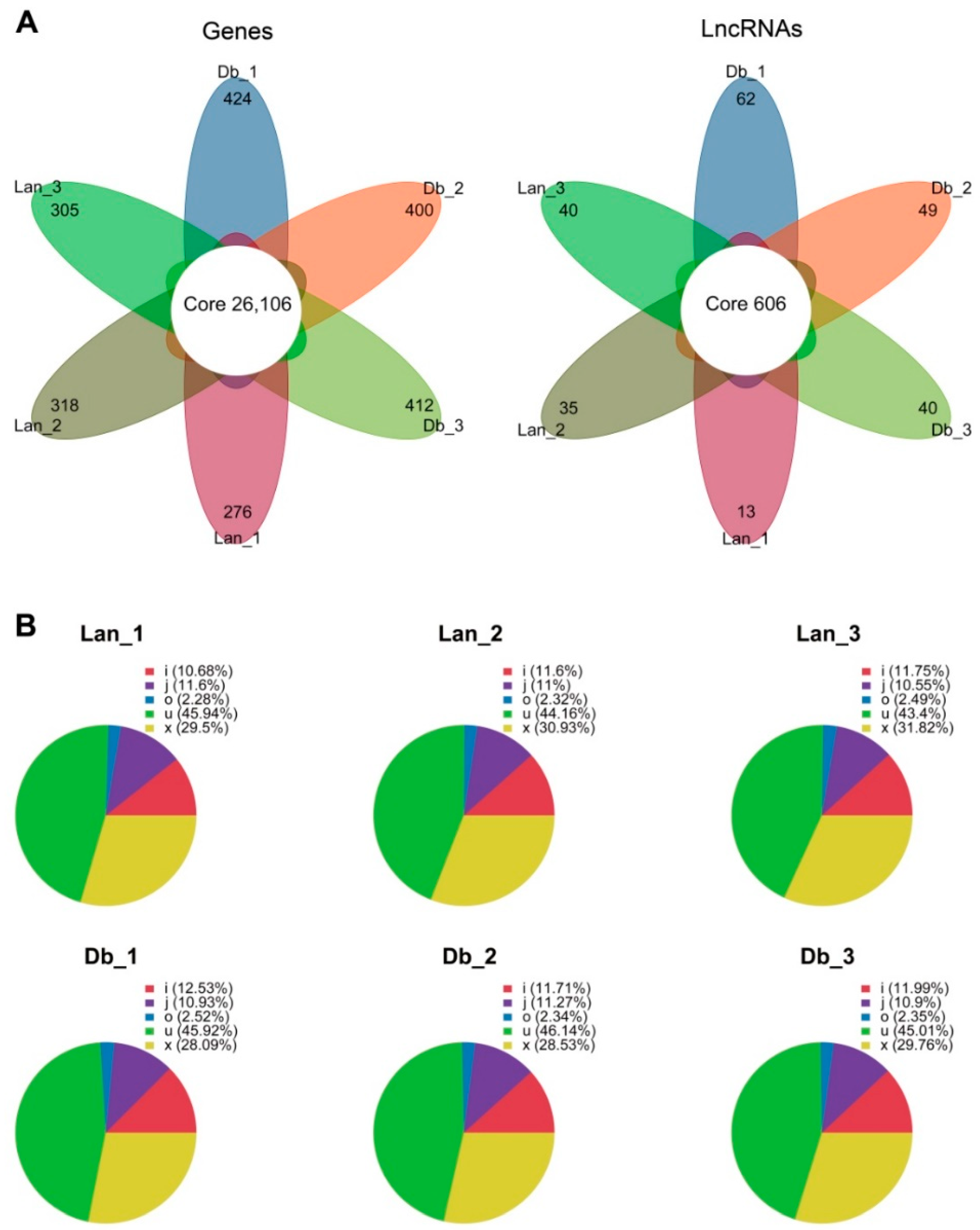 Ijms Free Full Text Conjoint Analysis Of Genome Wide Lncrna And Mrna Expression Of Heteromorphic Leavesin Response To Environmental Heterogeneityin Populus Euphratica Html Ijms Free Full Text Conjoint Analysis Of Genome Wide Lncrna And Mrna Expression Of Heteromorphic Leavesin Response To Environmental Heterogeneityin Populus Euphratica Html