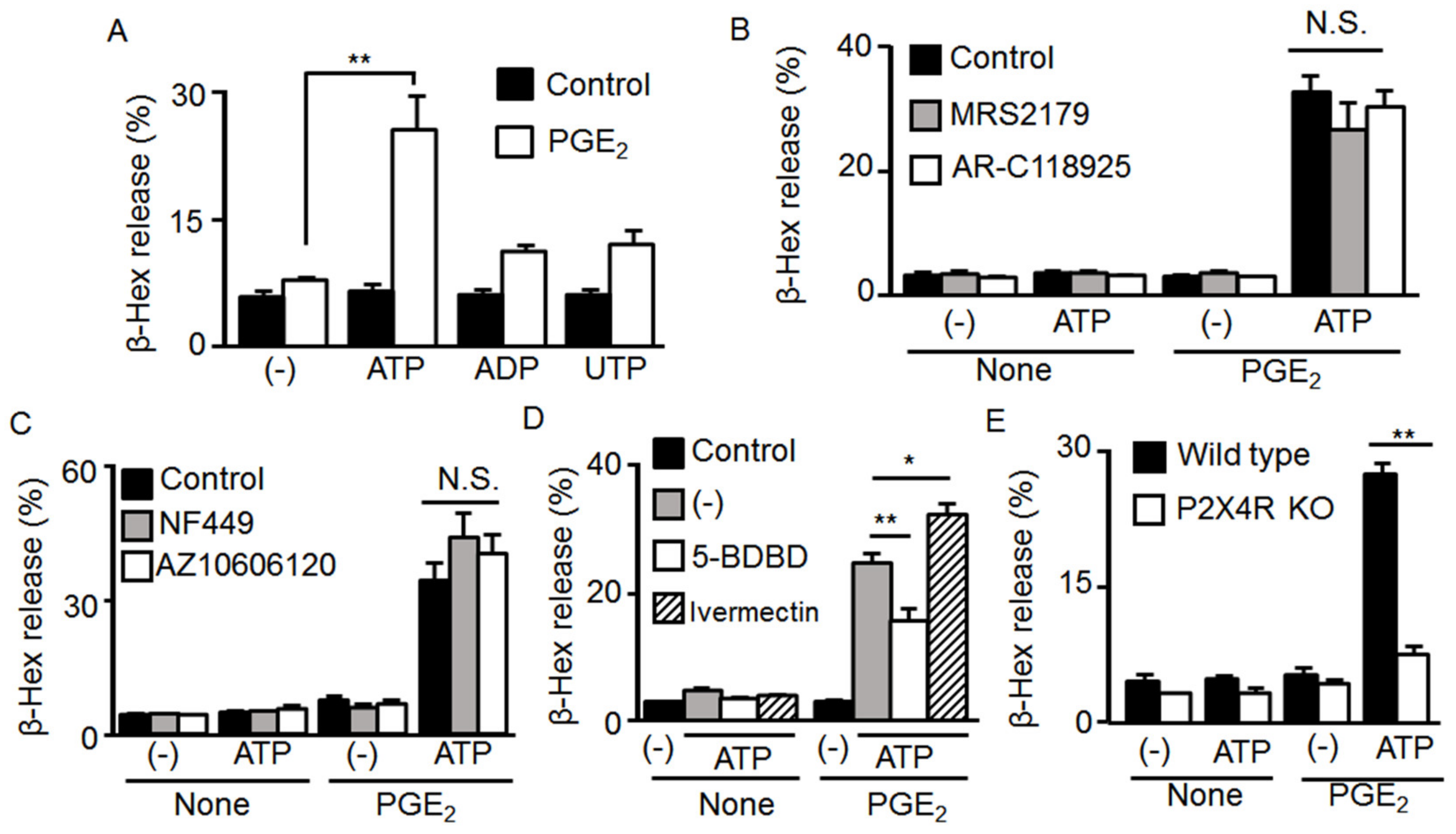 Ijms 20 05157 g003 Ijms 20 05157 g003