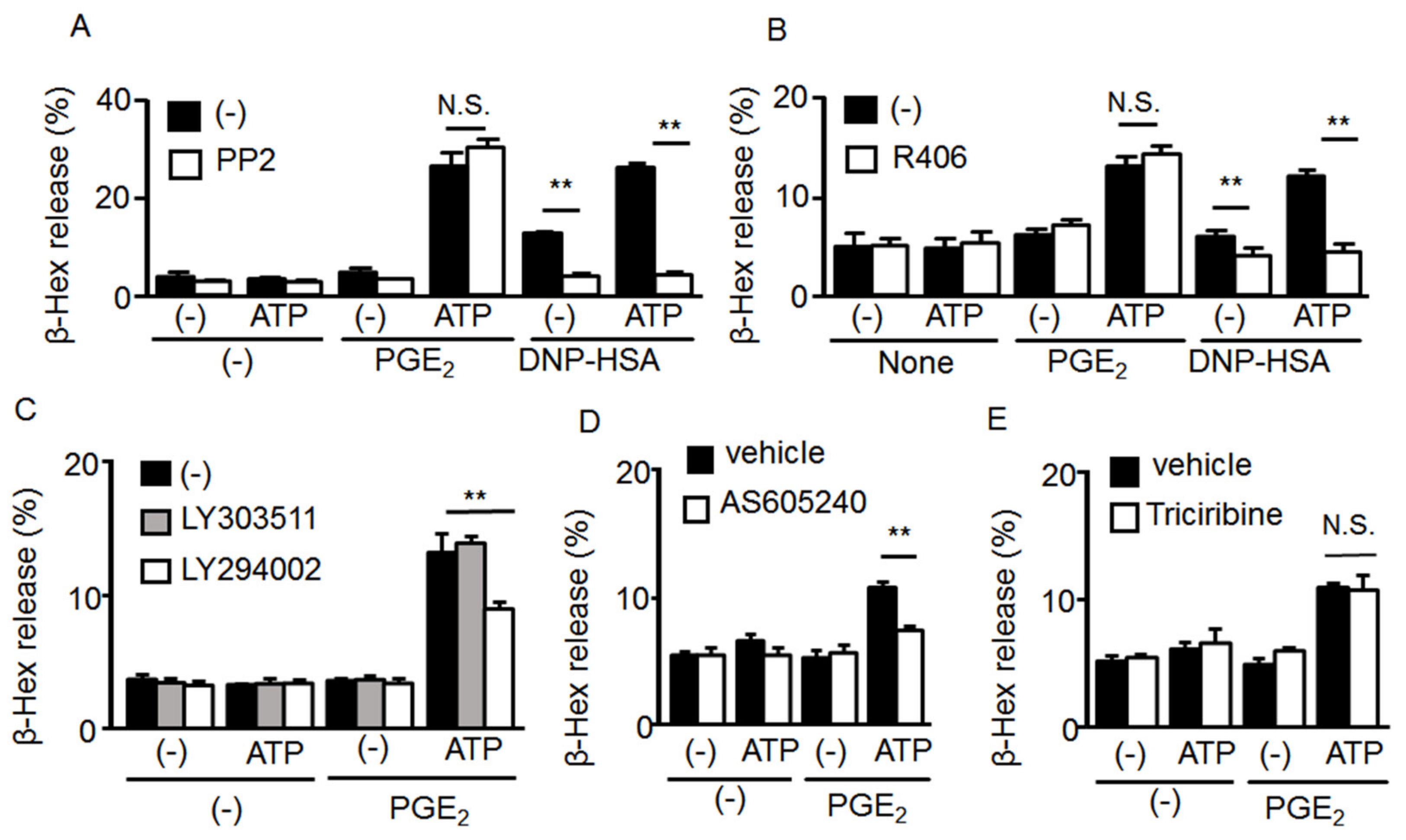 Ijms 20 05157 g004 Ijms 20 05157 g004