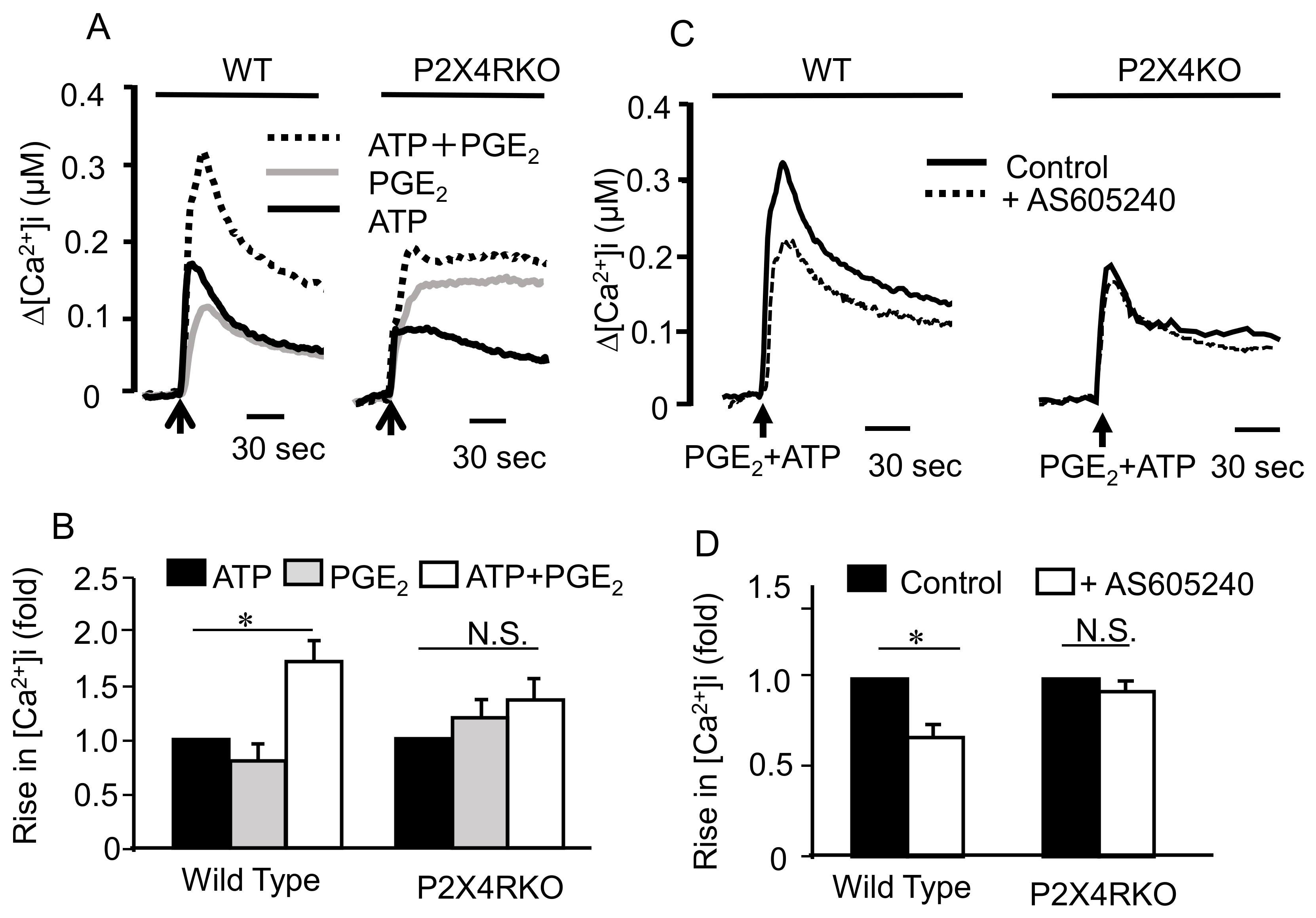 Ijms 20 05157 g006 Ijms 20 05157 g006