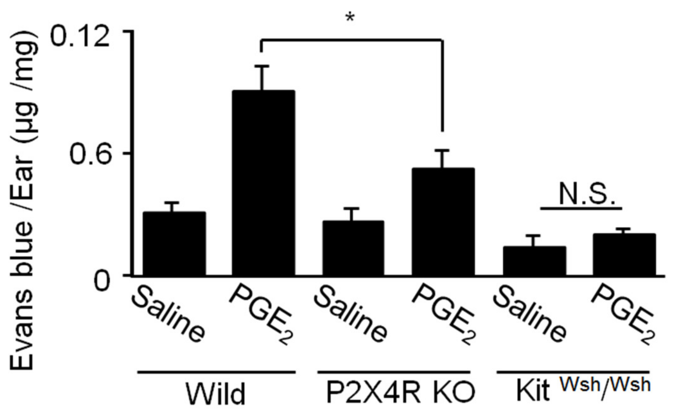 Ijms 20 05157 g007 Ijms 20 05157 g007