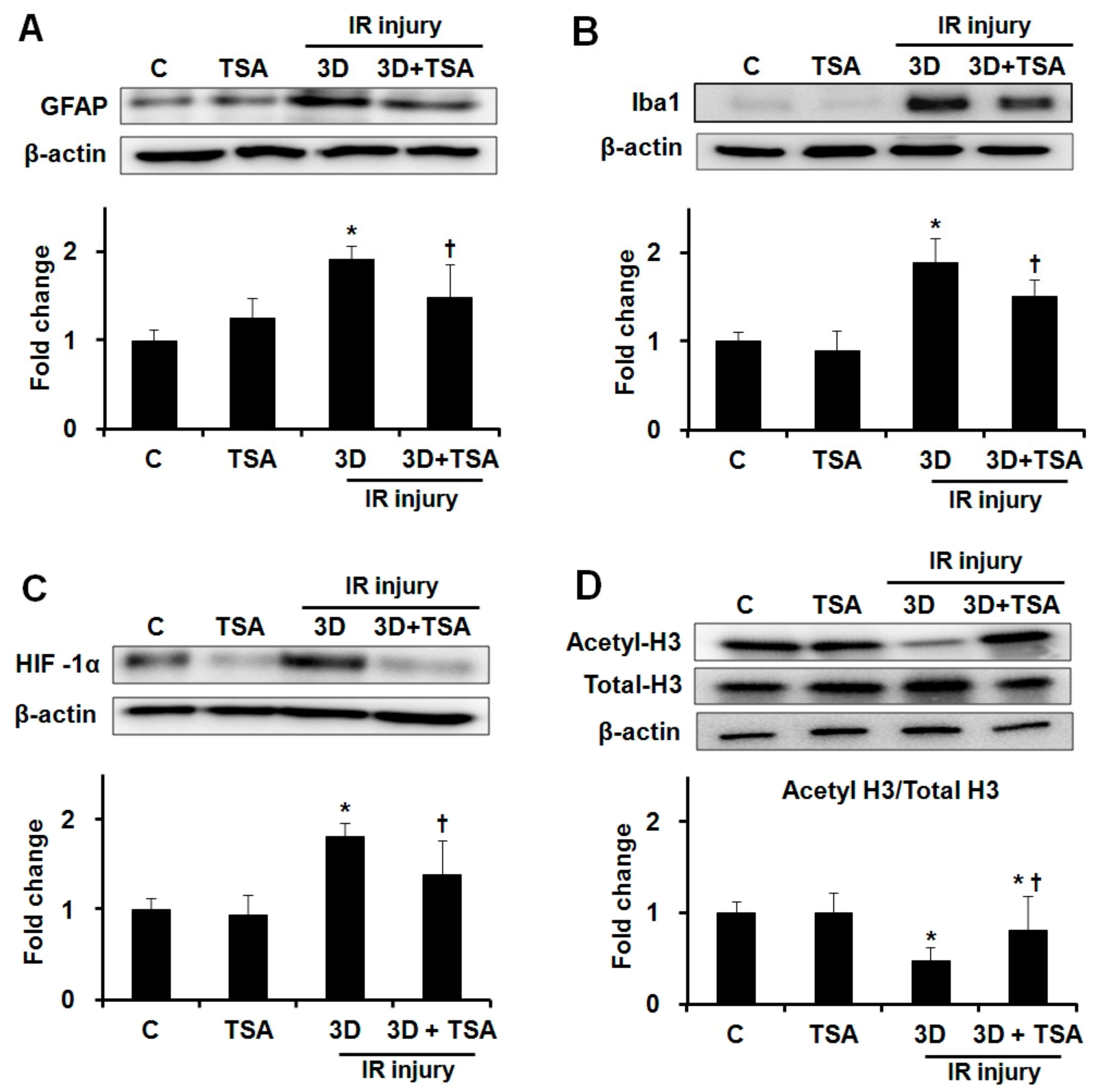 Ijms 20 05159 g002 Ijms 20 05159 g002