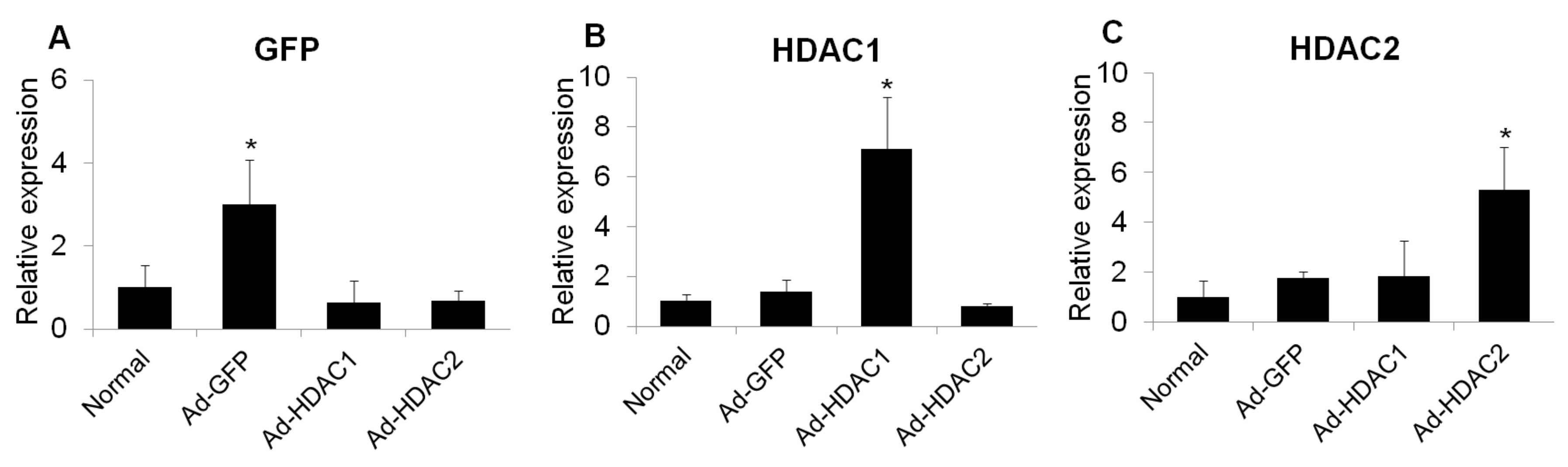 Ijms 20 05159 g003 Ijms 20 05159 g003