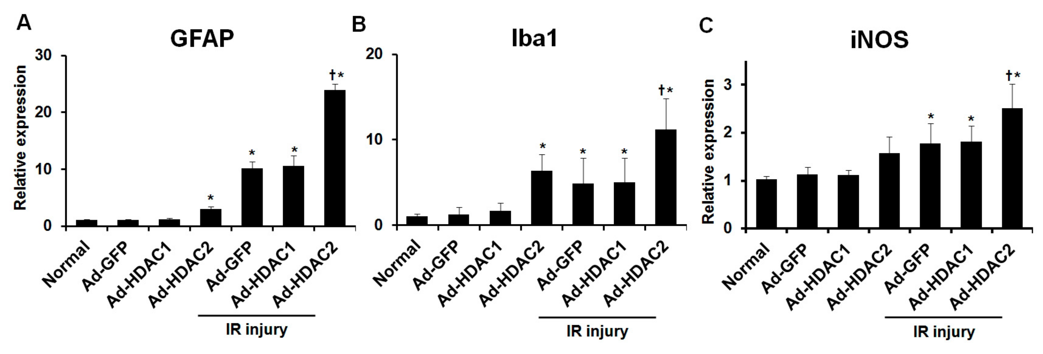 Ijms 20 05159 g004 Ijms 20 05159 g004