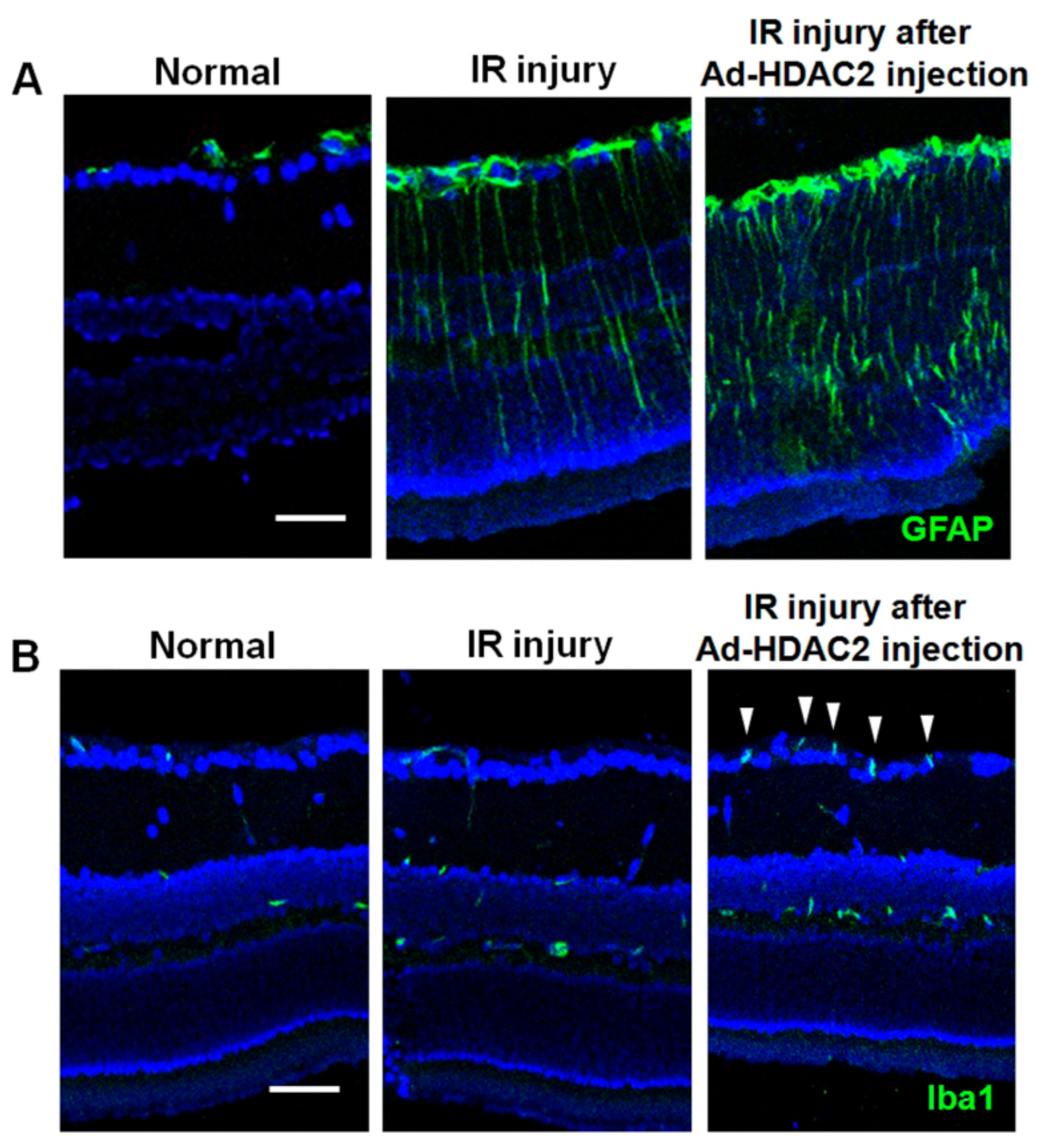 Ijms 20 05159 g005 Ijms 20 05159 g005