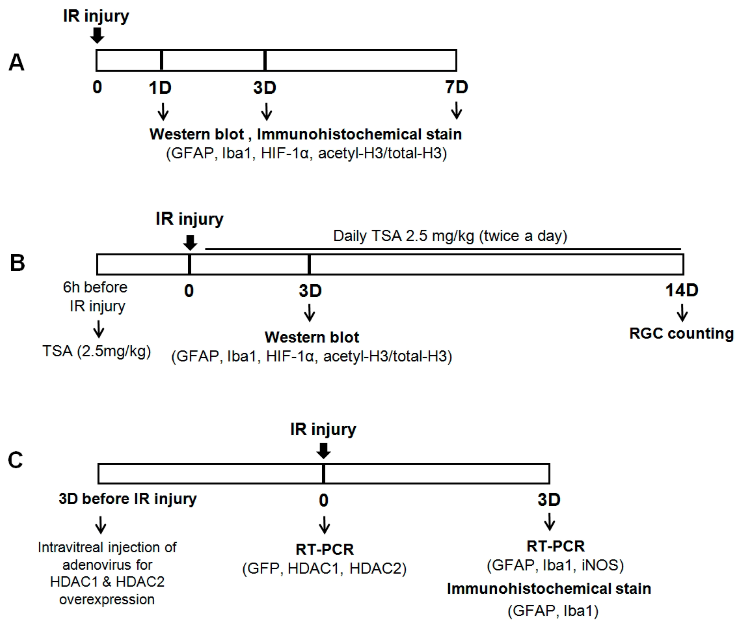 Ijms 20 05159 g007 Ijms 20 05159 g007
