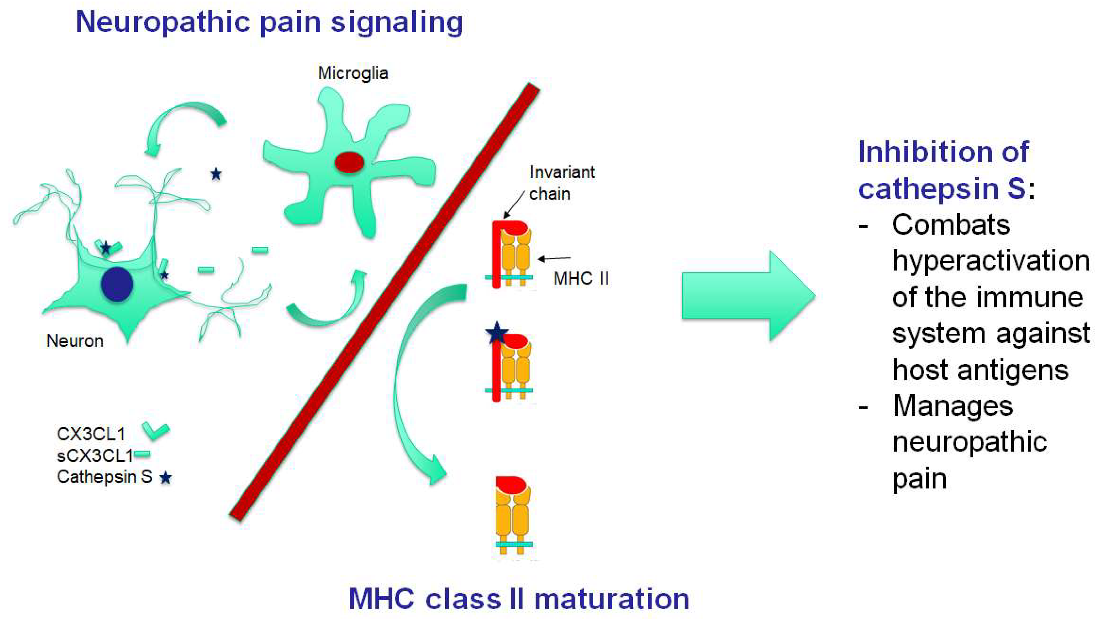 myalgia autoimmune)