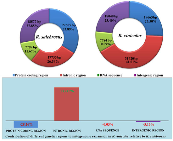 https://www.mdpi.com/ijms/ijms-20-05167/article_deploy/html/images/ijms-20-05167-g003-550.jpg
