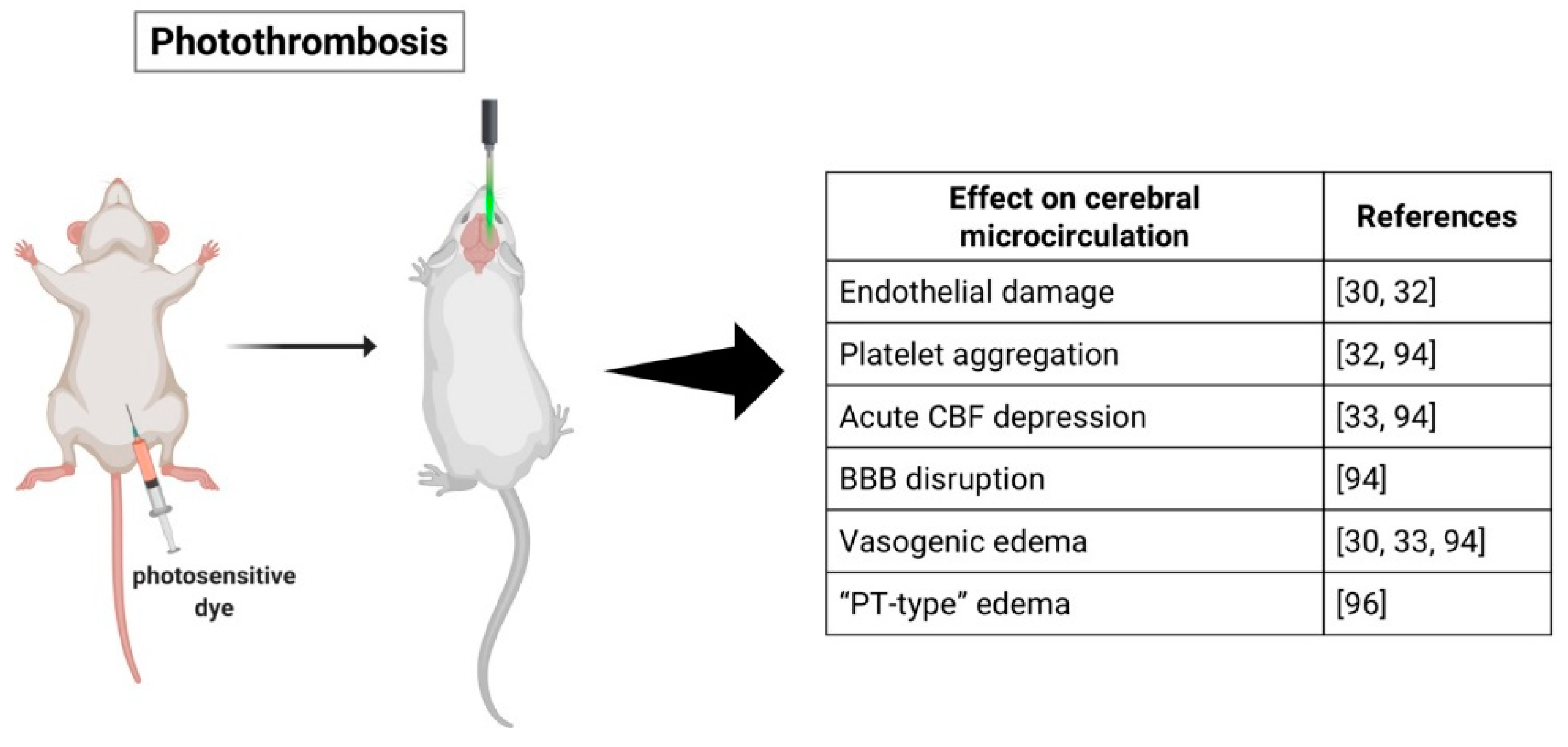 Ijms 20 05184 g002 Ijms 20 05184 g002