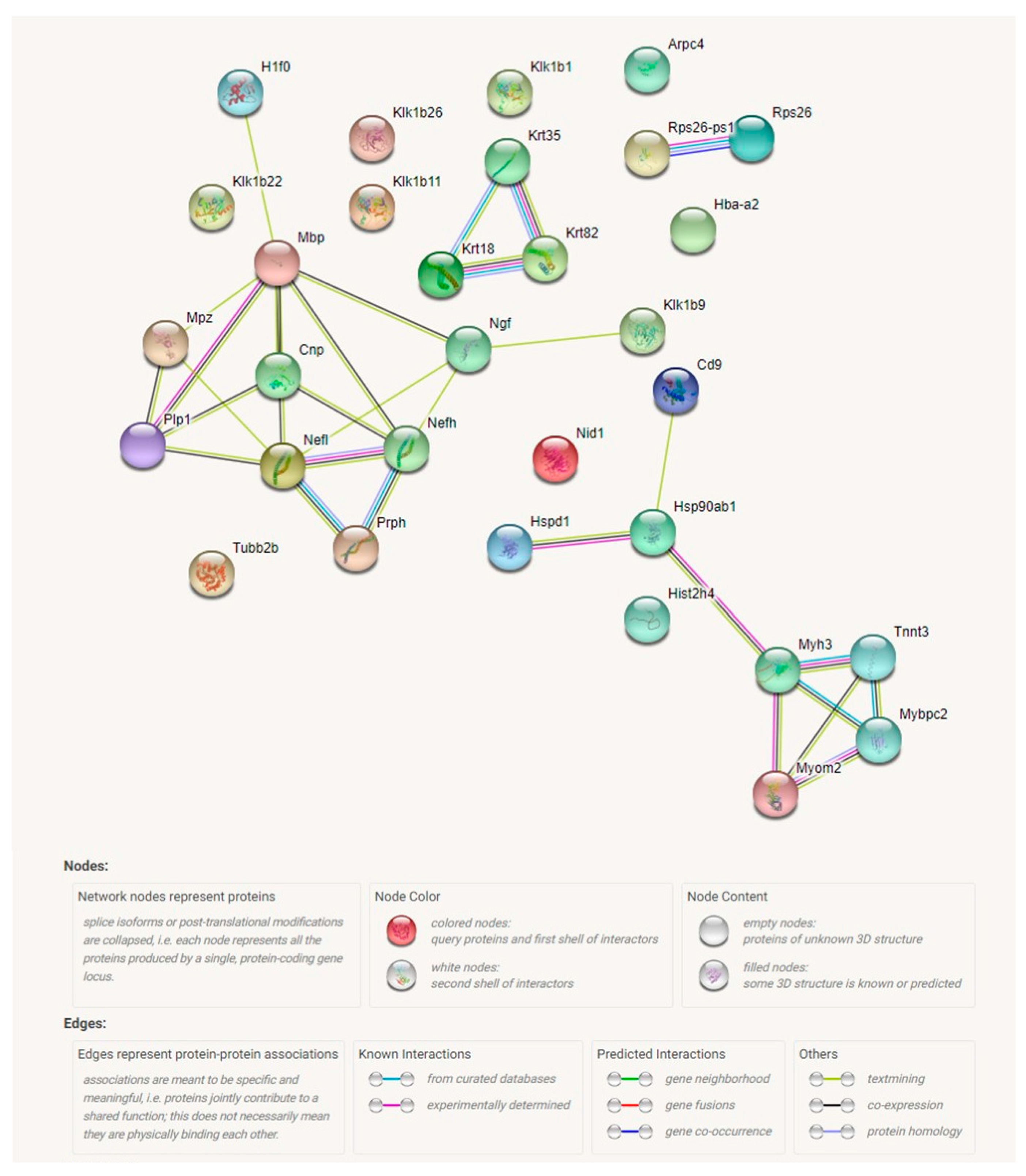Ijms 20 05188 g004 Ijms 20 05188 g004