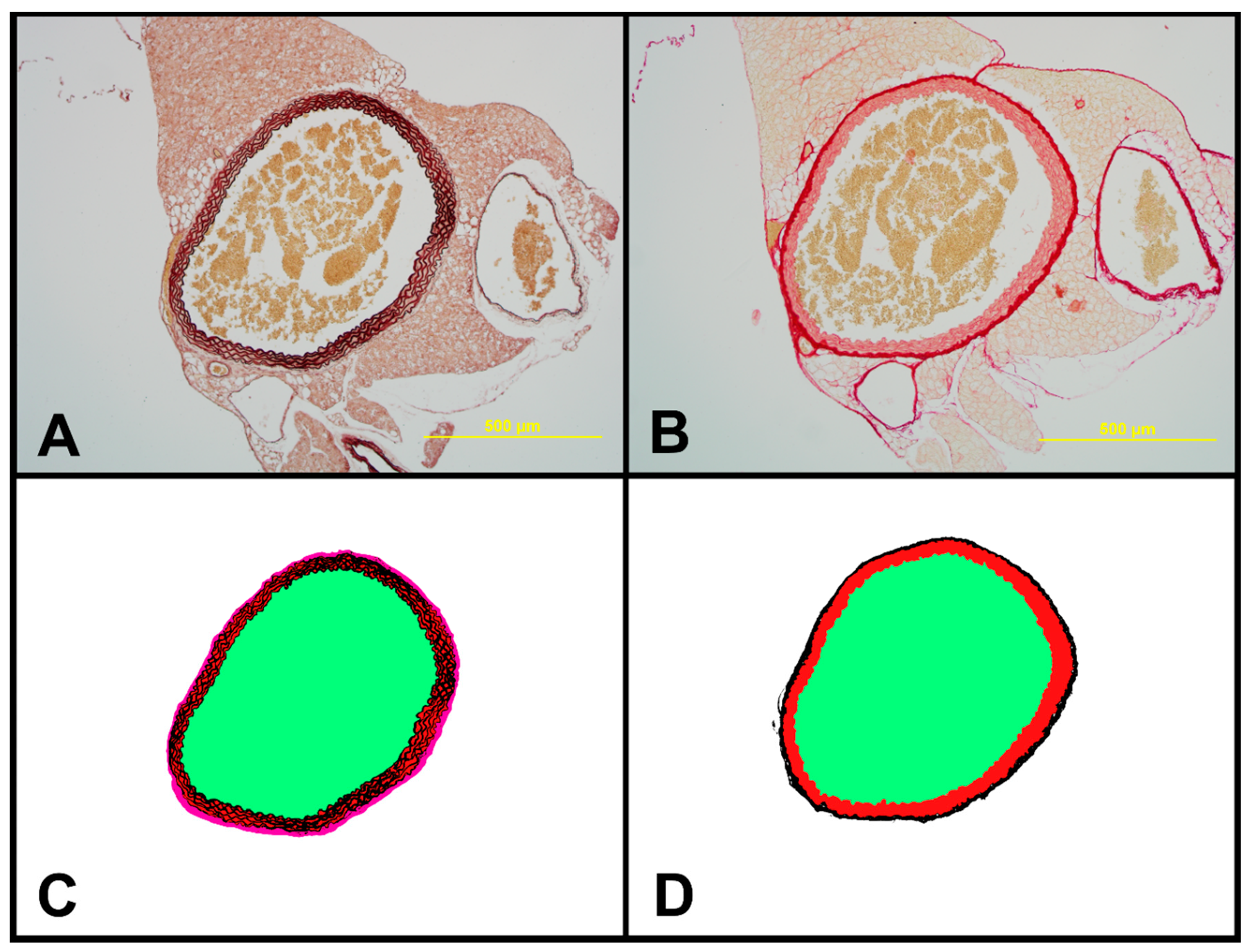 Ijms 20 05188 g008 Ijms 20 05188 g008