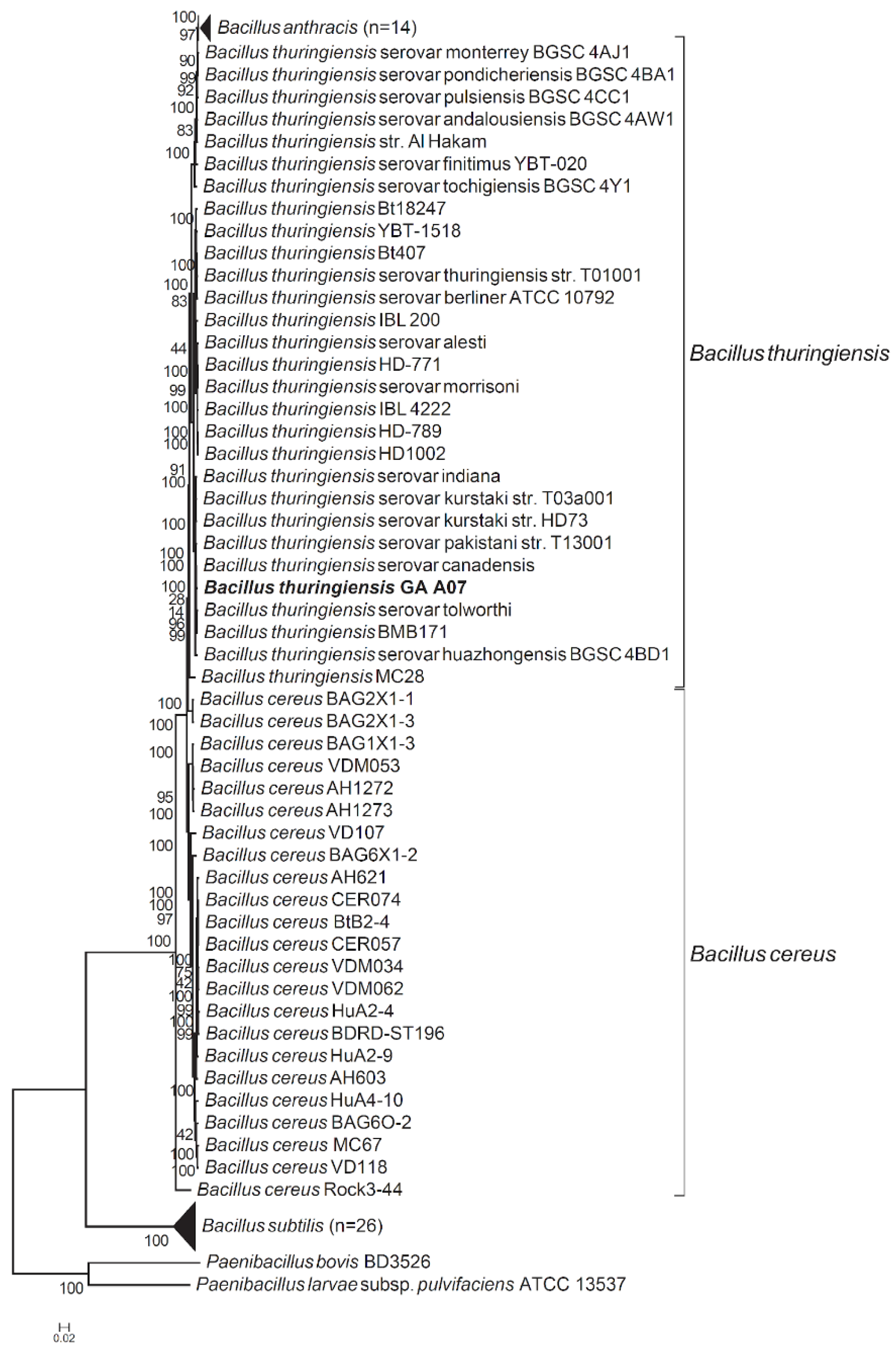 Ijms 20 05192 g003 Ijms 20 05192 g003