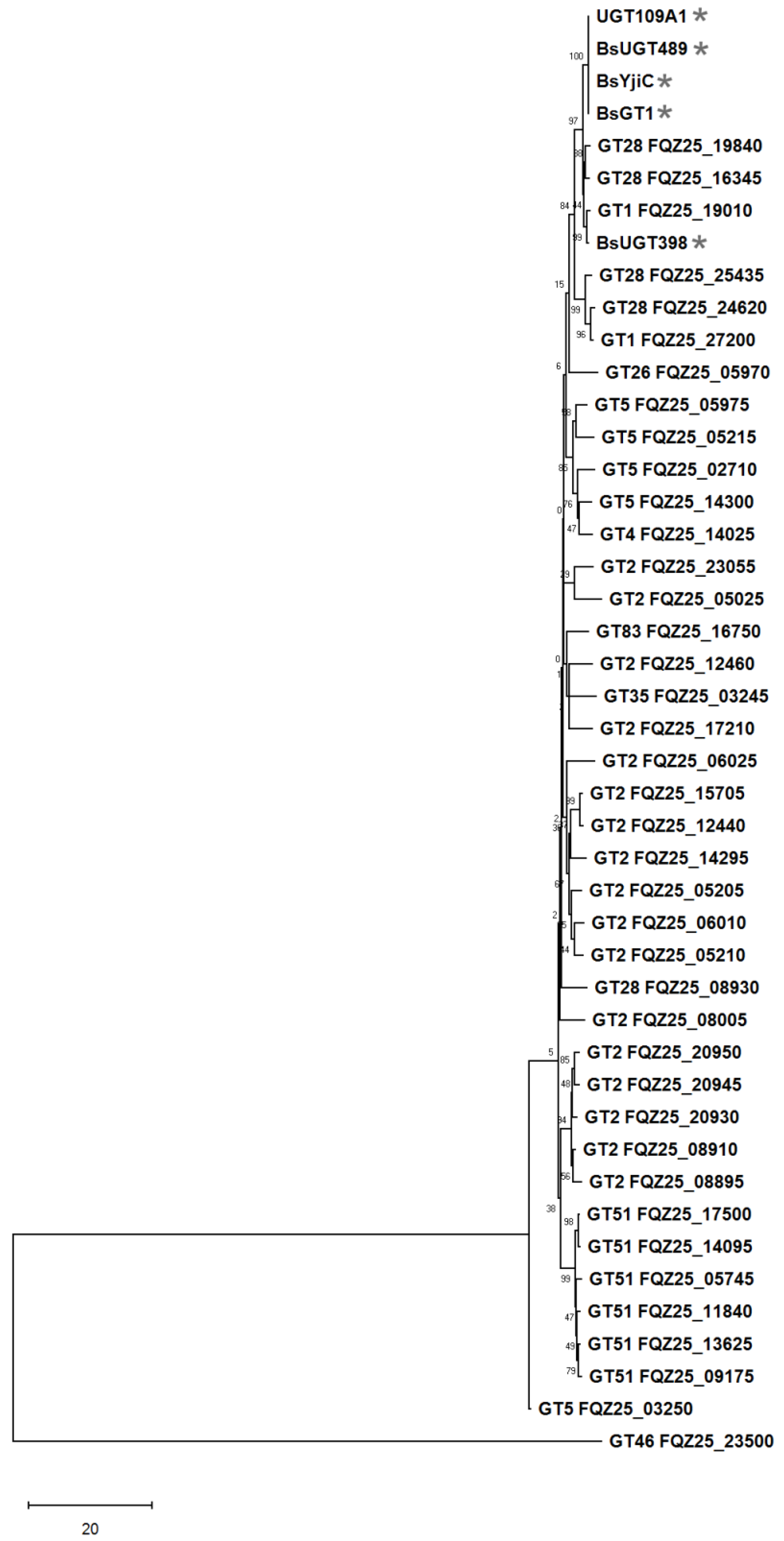 Ijms 20 05192 g004 Ijms 20 05192 g004