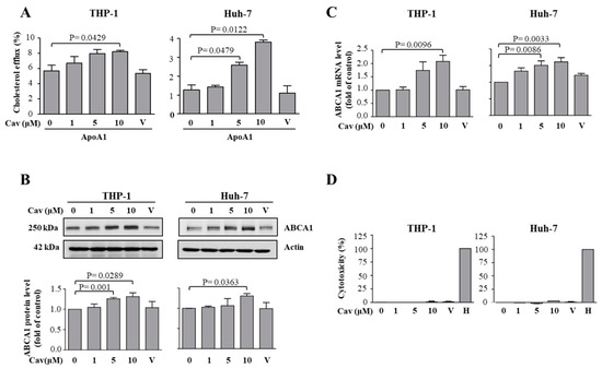 Ijms Free Full Text Carvedilol Ameliorates Experimental Atherosclerosis By Regulating Cholesterol Efflux And Exosome Functions Html