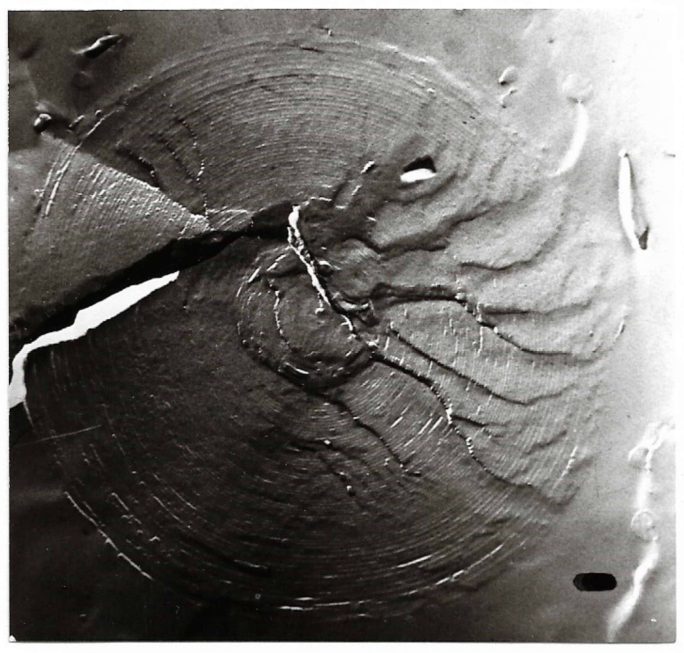 Ijms 20 05217 g005 Ijms 20 05217 g005