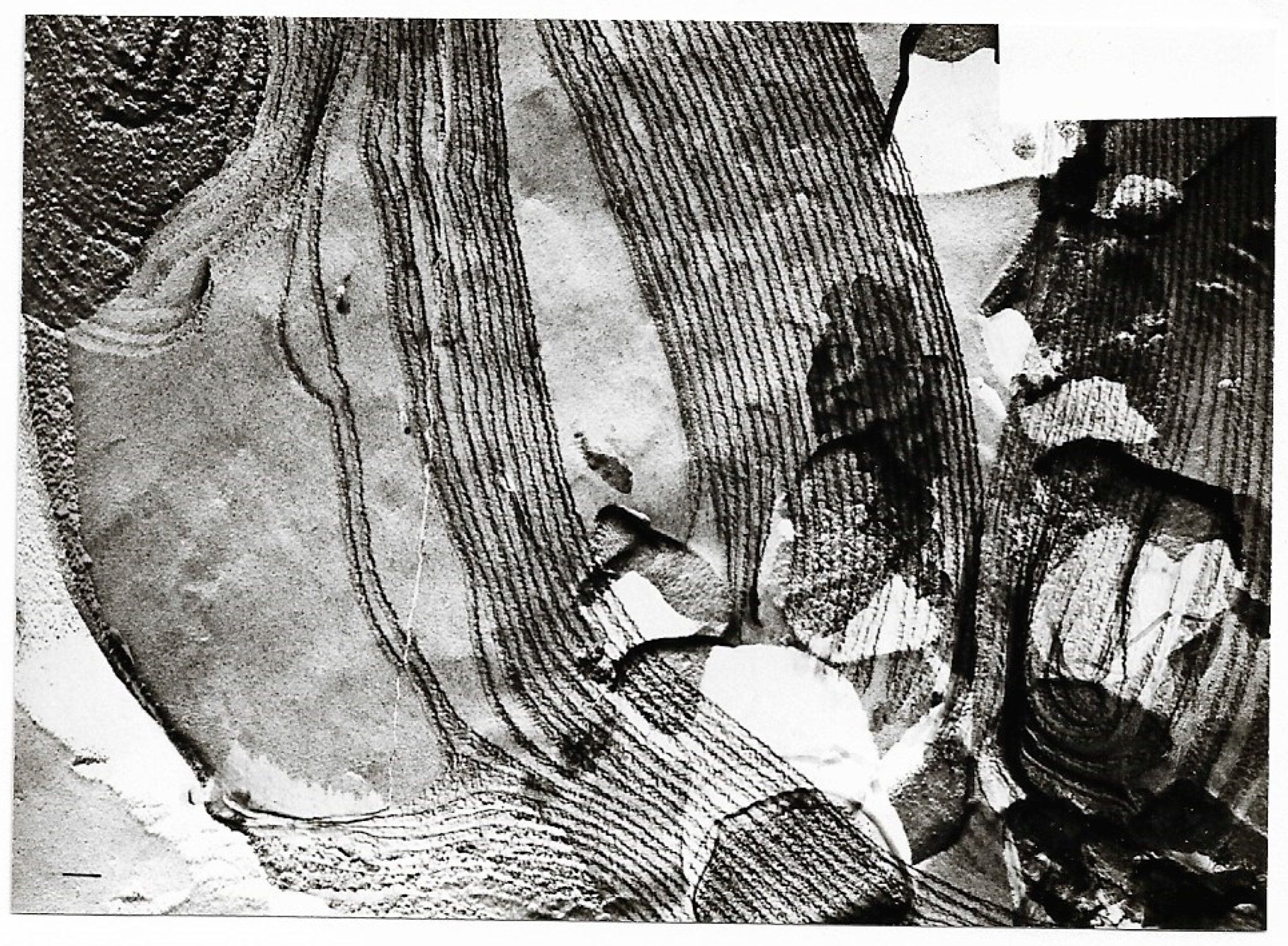 Ijms 20 05217 g010 Ijms 20 05217 g010