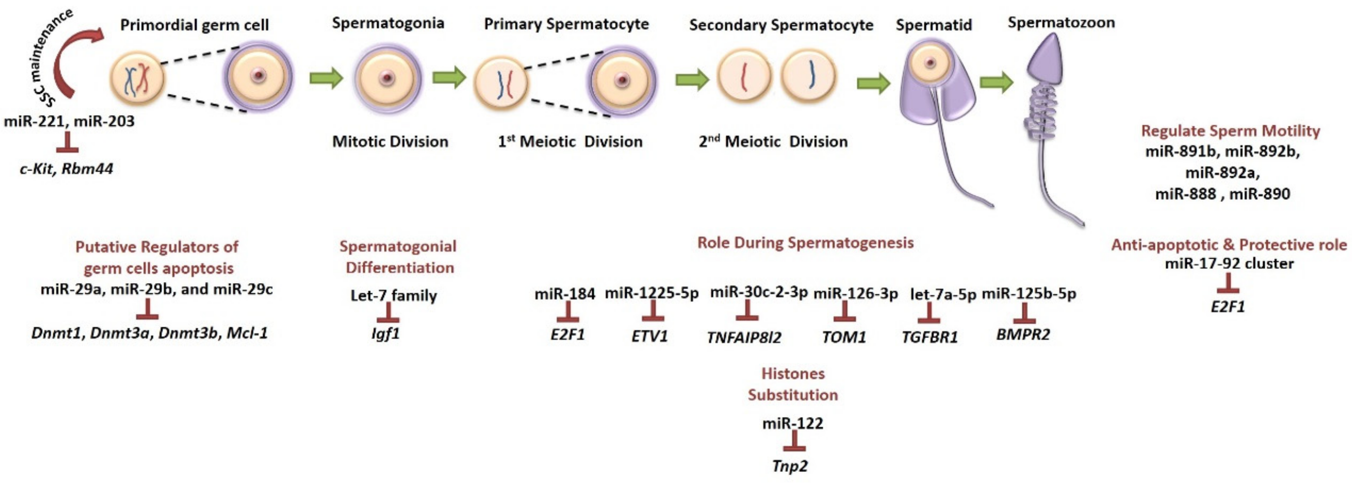 Ijms 20 05223 g003