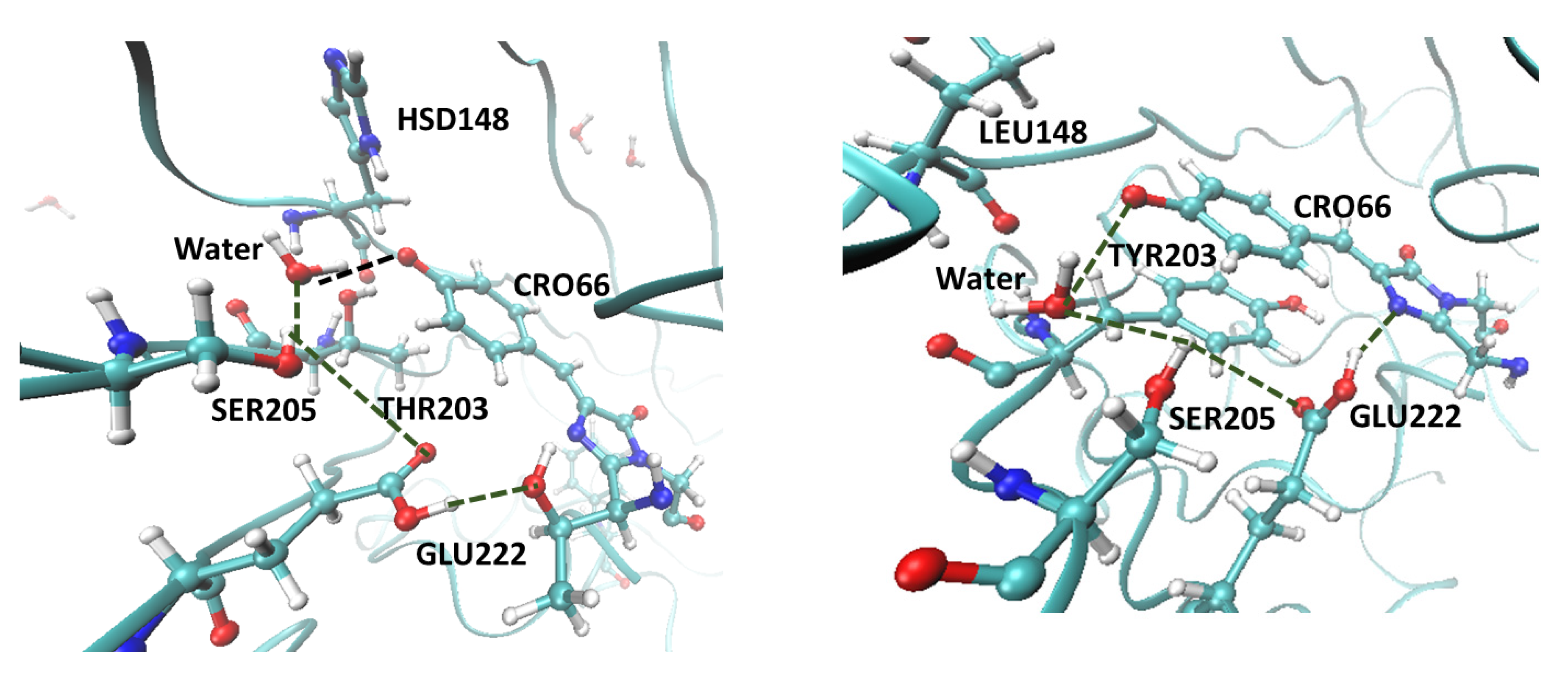 Ijms 20 05229 g004