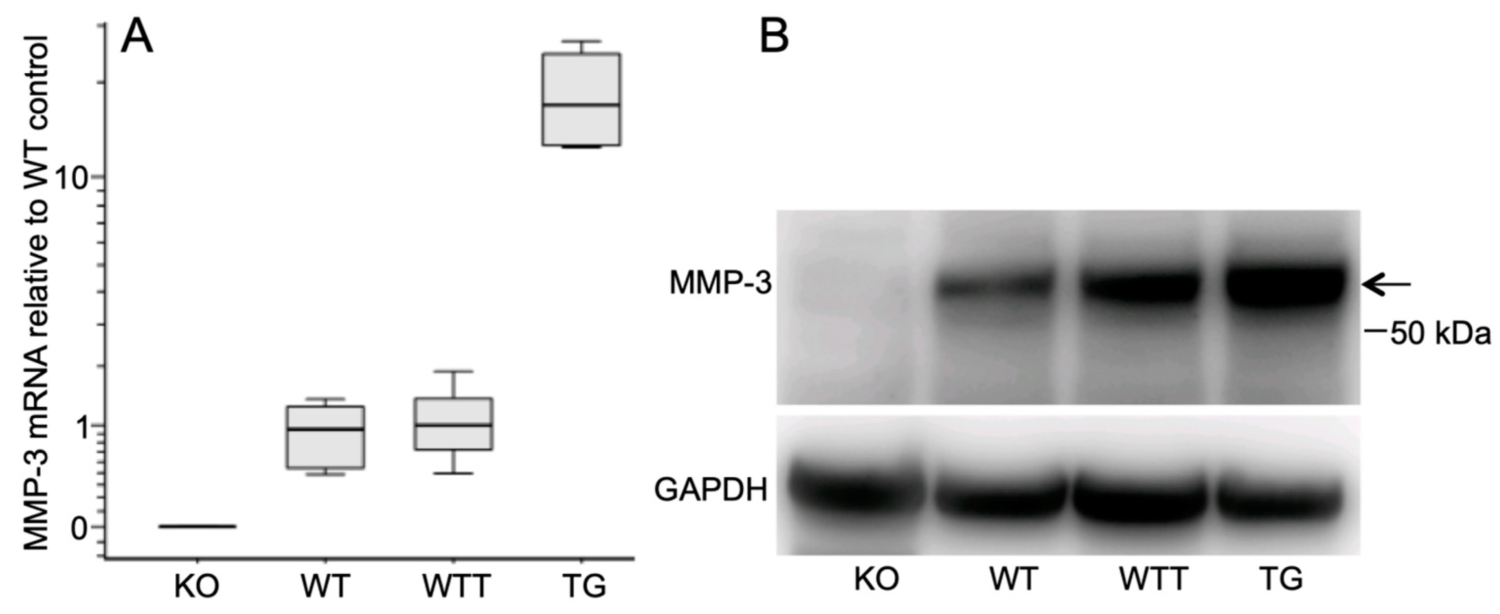 Ijms 20 05234 g001