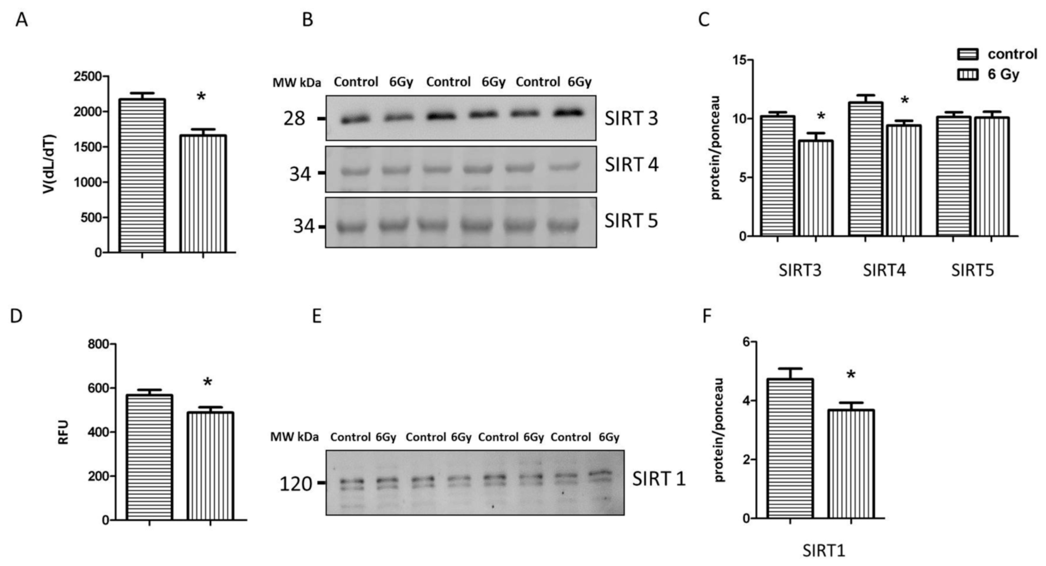 Ijms 20 05239 g006
