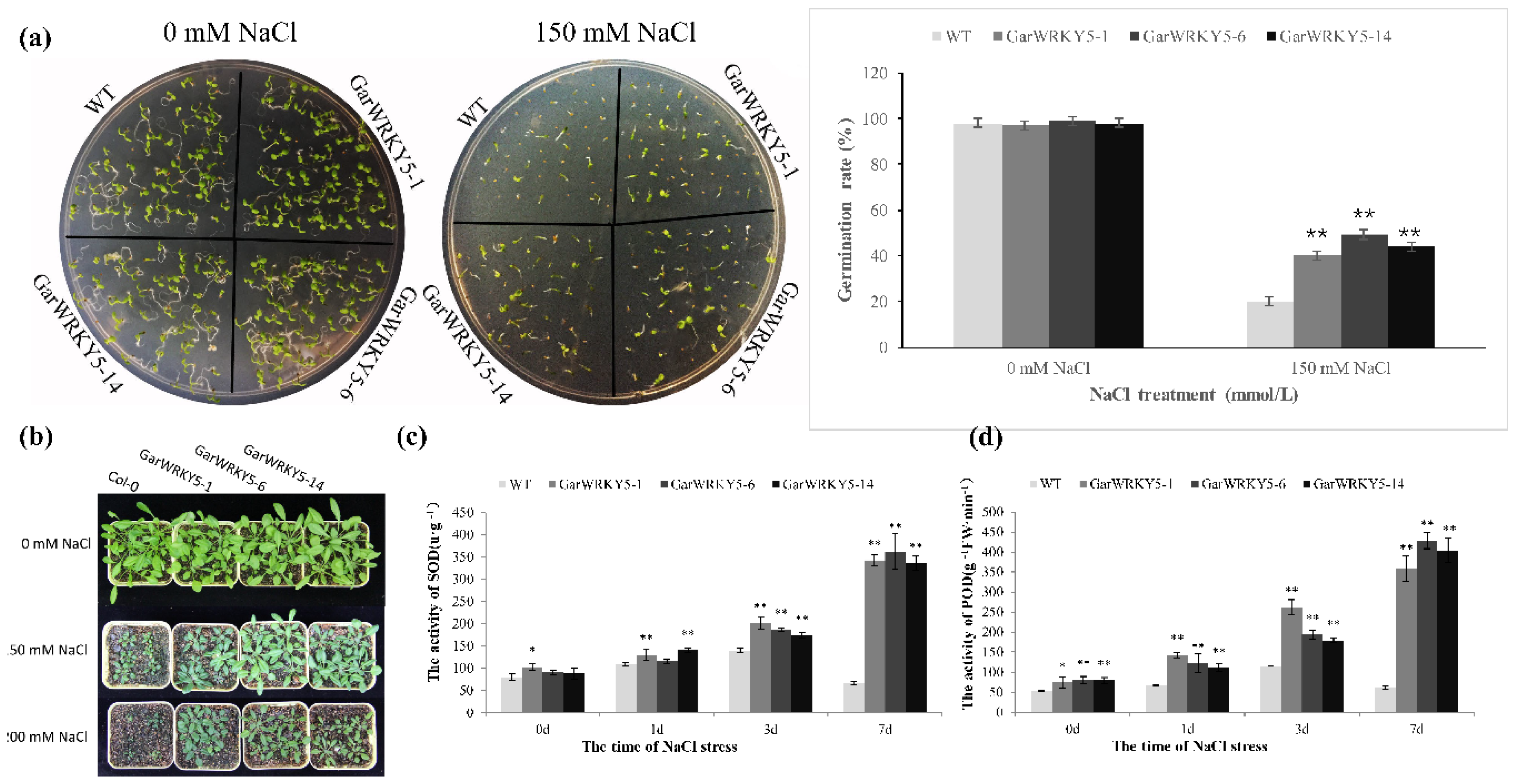Ijms 20 05244 g003 Ijms 20 05244 g003