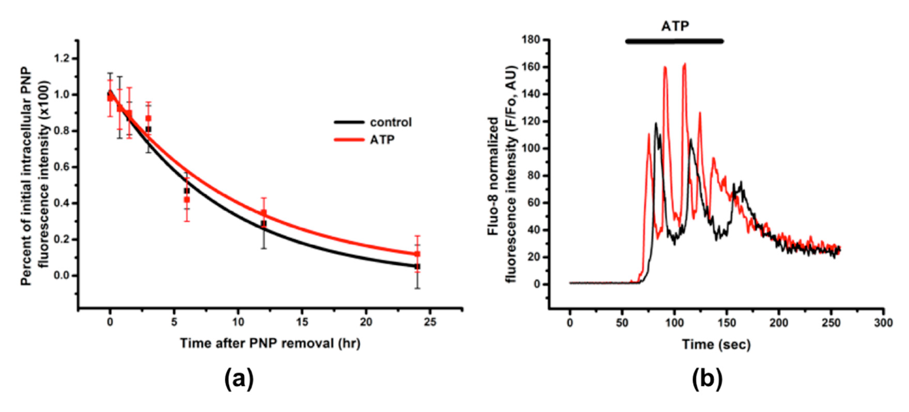 Ijms 20 05253 g004 Ijms 20 05253 g004