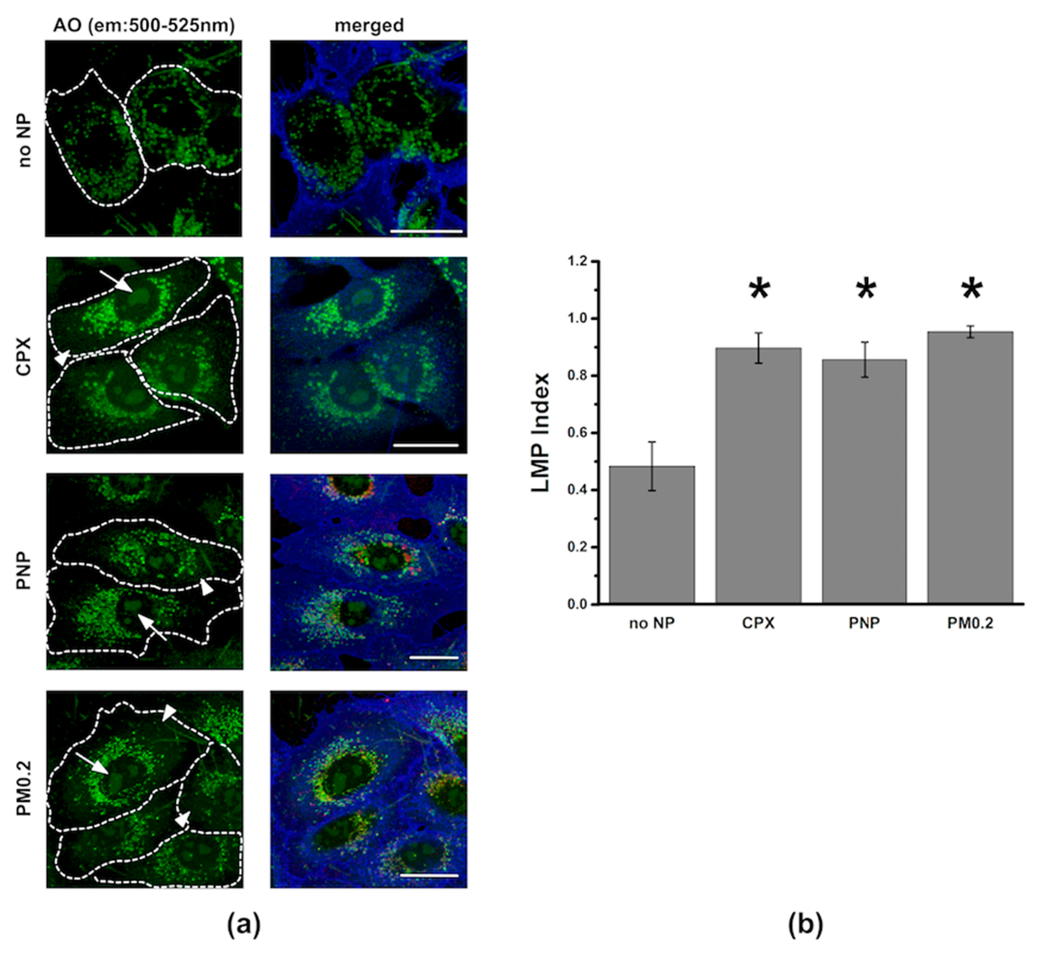 Ijms 20 05253 g009 Ijms 20 05253 g009