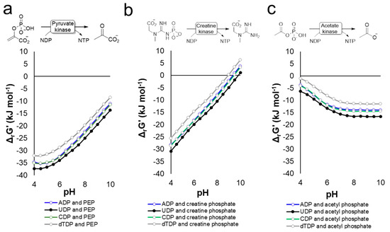 Ijms Free Full Text Leloir Glycosyltransferases In Applied Biocatalysis A Multidisciplinary Approach Html