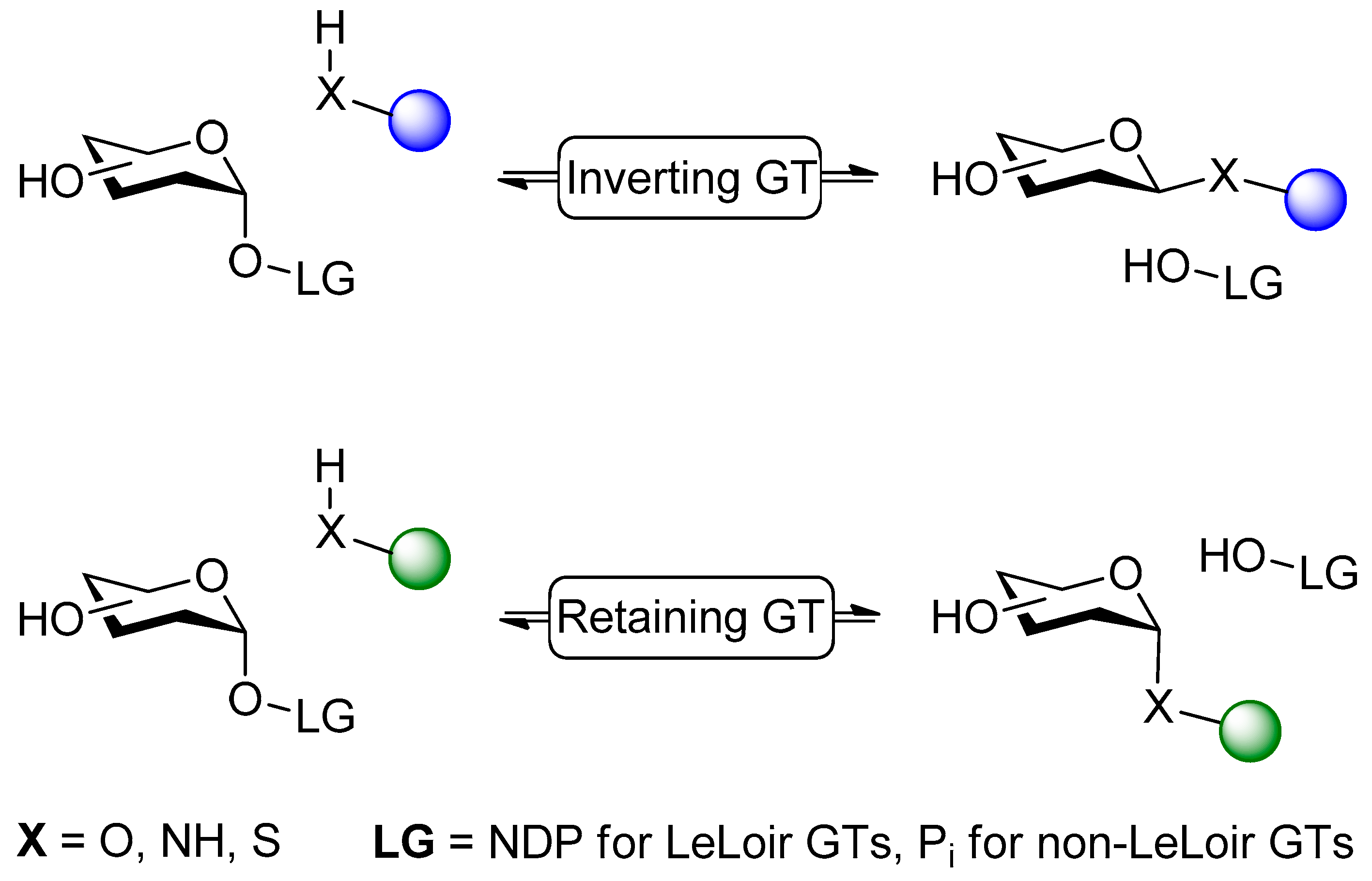 Ijms Free Full Text Leloir Glycosyltransferases In Applied Biocatalysis A Multidisciplinary Approach Html Ijms Free Full Text Leloir Glycosyltransferases In Applied Biocatalysis A Multidisciplinary Approach Html