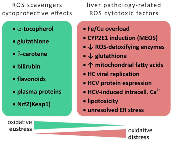 The Crosstalk of miRNA and Oxidative Stress in the Liver: From