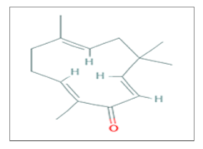 Ijms 20 05267 i006 Ijms 20 05267 i006