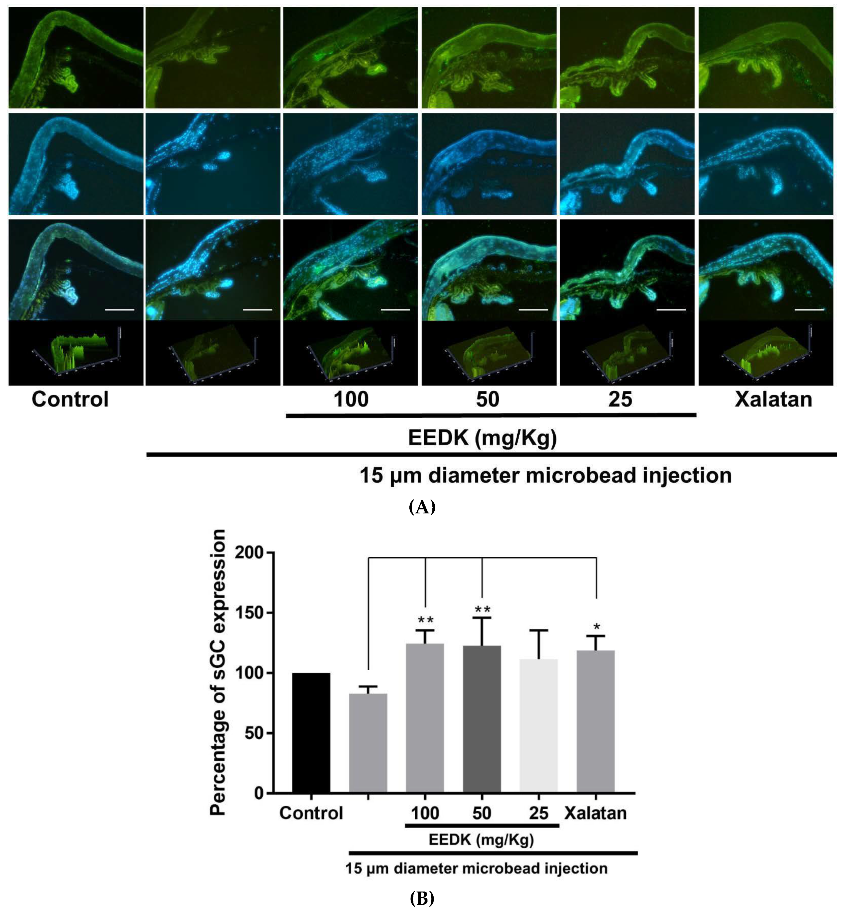 Ijms 20 05268 g003 Ijms 20 05268 g003