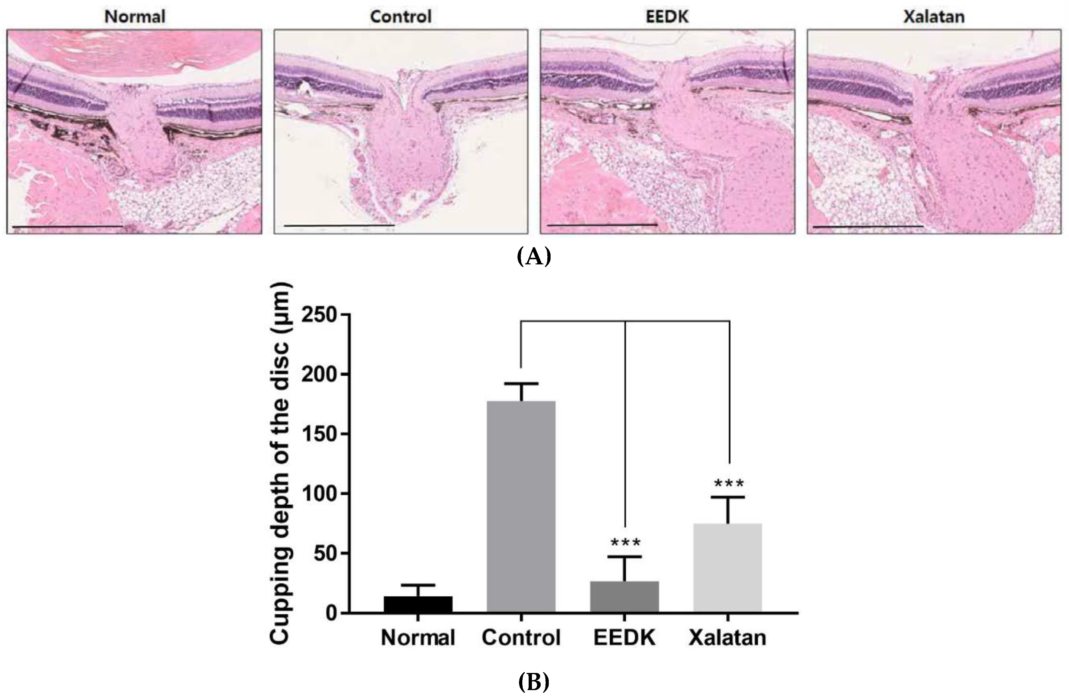 Ijms 20 05268 g006a Ijms 20 05268 g006a