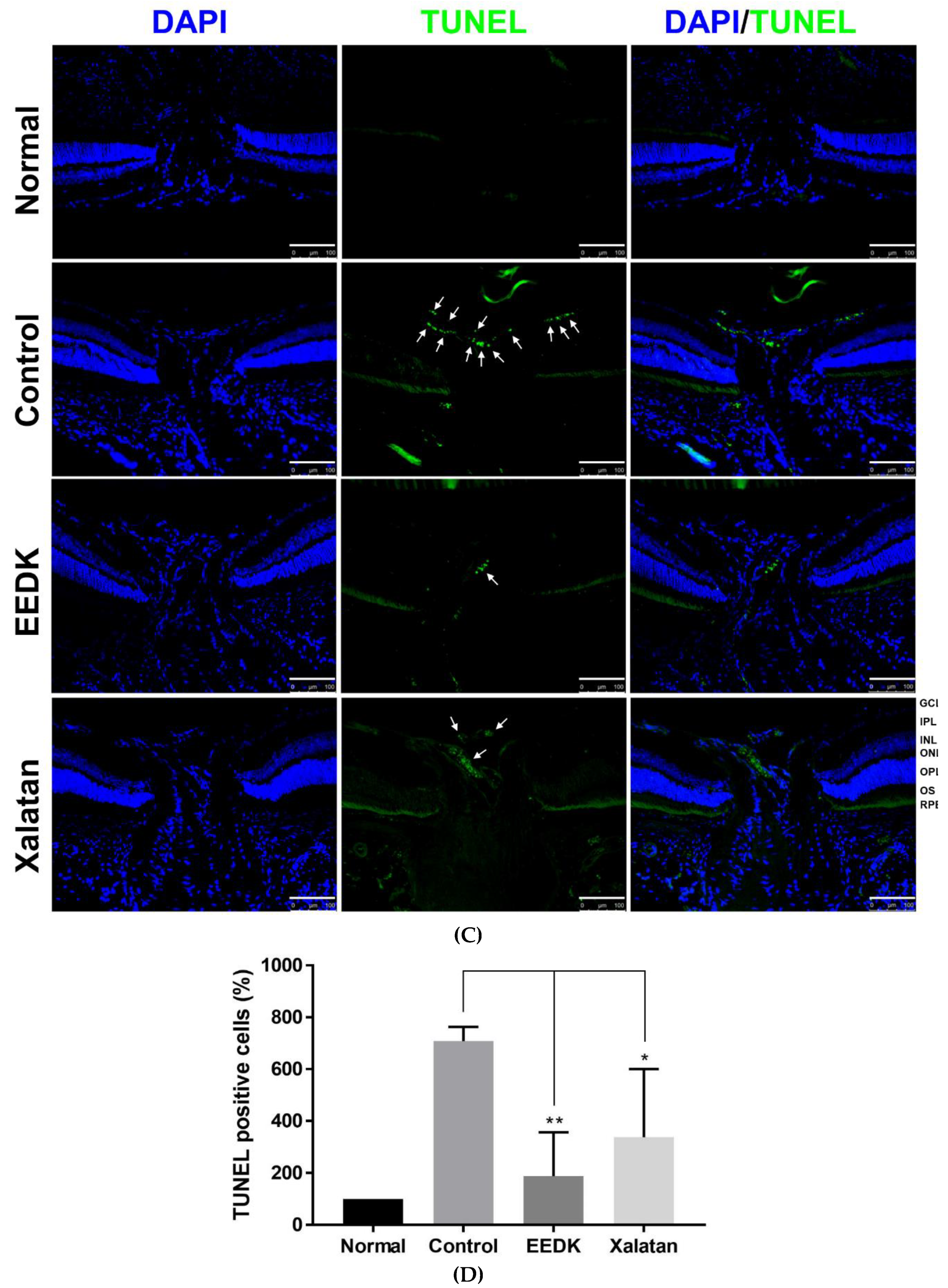 Ijms 20 05268 g006b Ijms 20 05268 g006b
