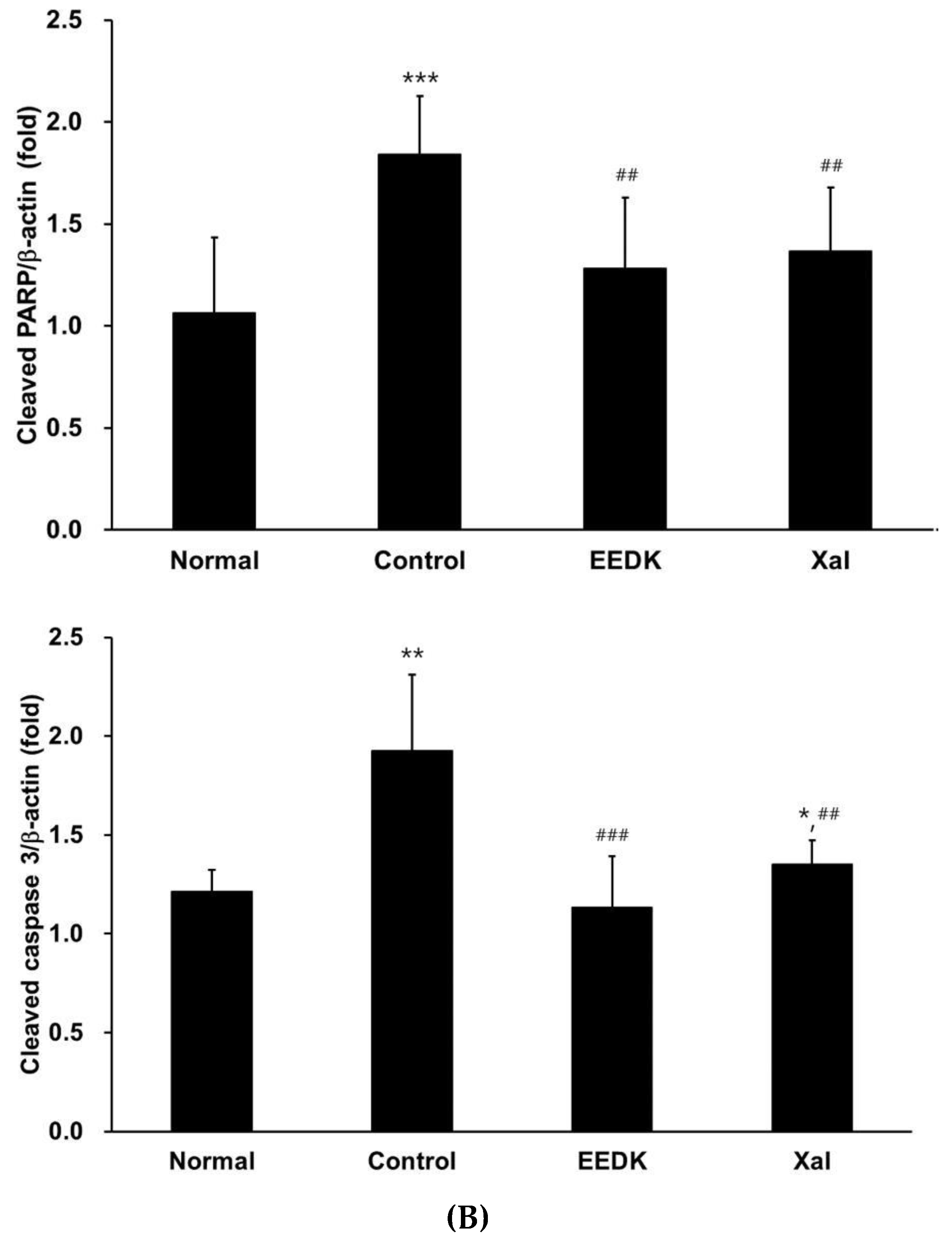 Ijms 20 05268 g008b Ijms 20 05268 g008b