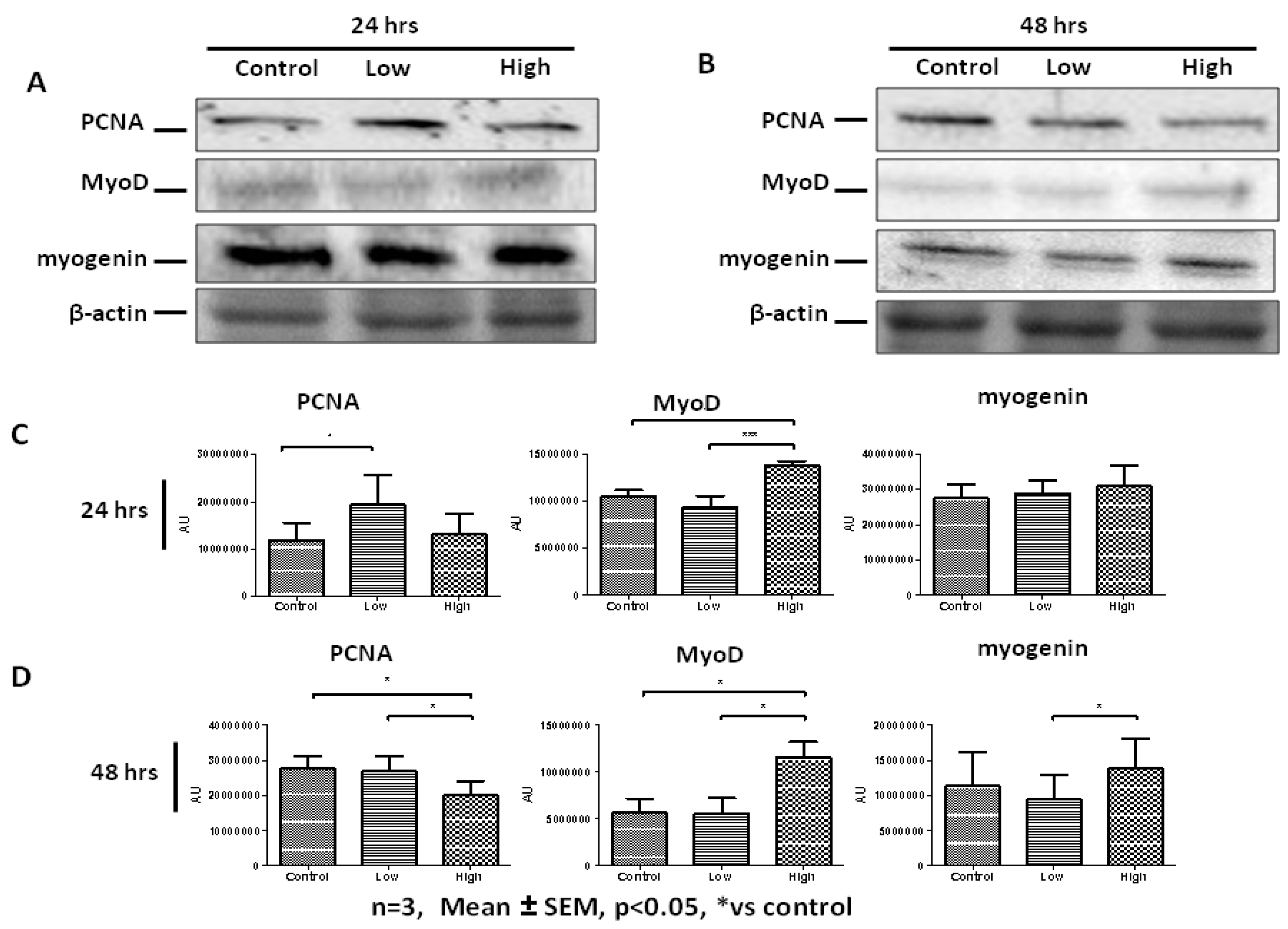 Ijms 20 05273 g008a Ijms 20 05273 g008a