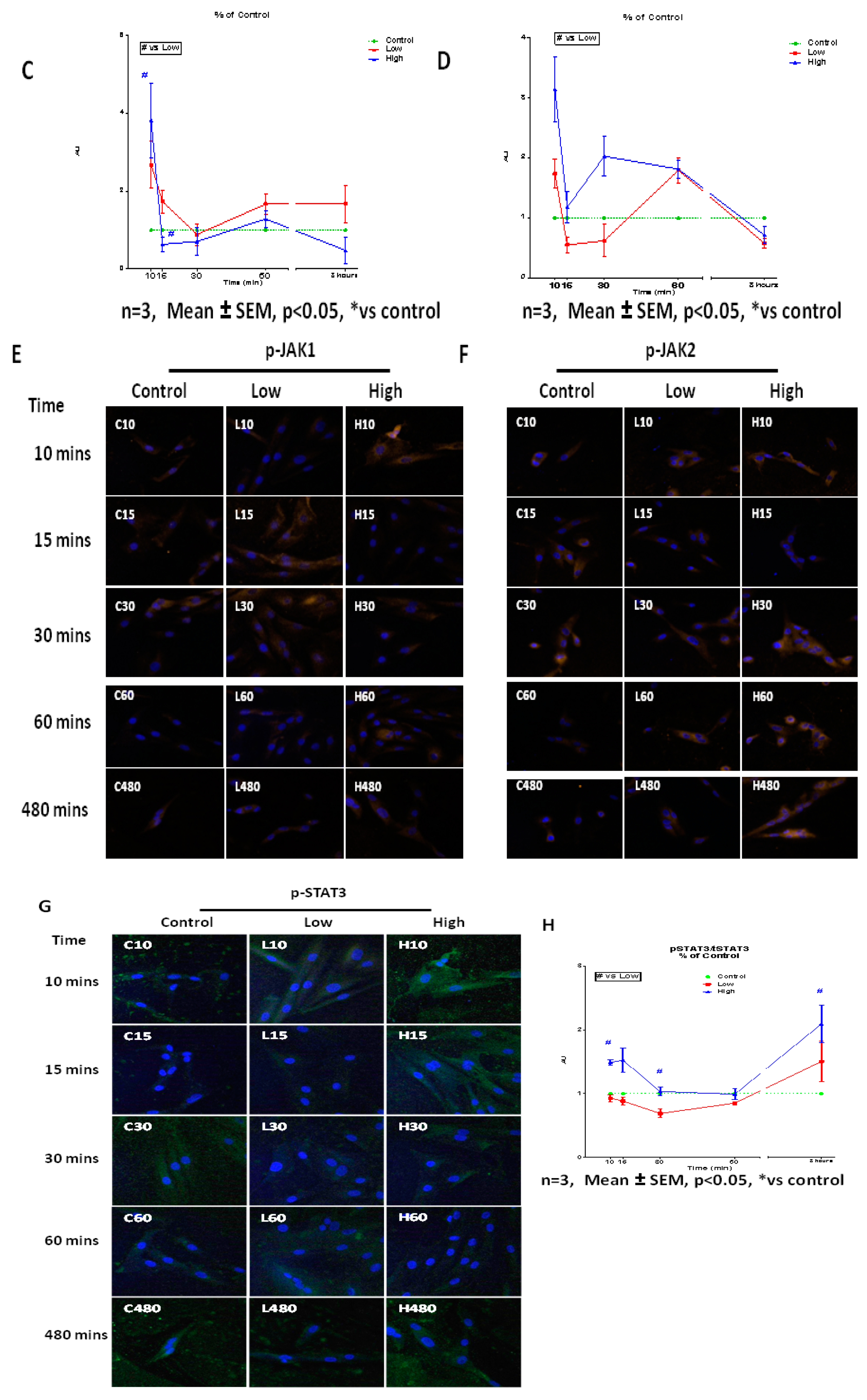 Ijms 20 05273 g009b Ijms 20 05273 g009b