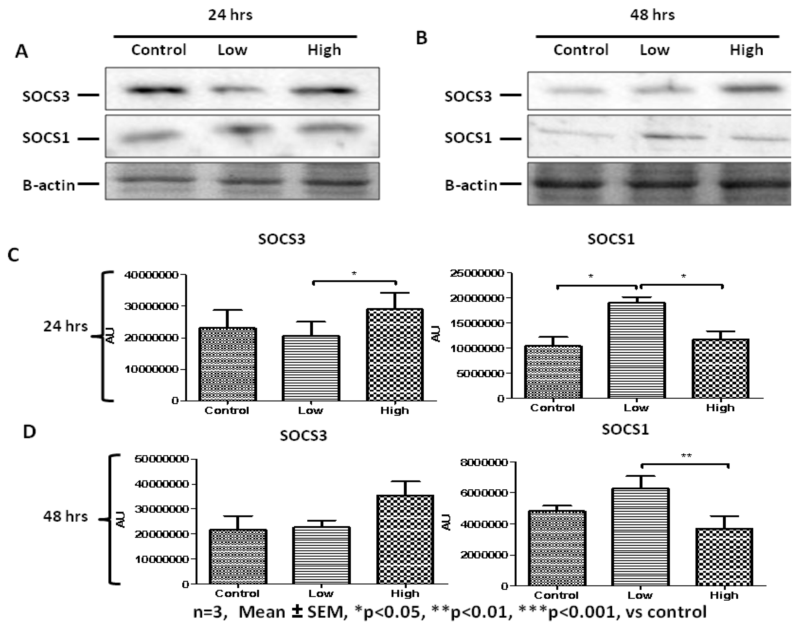 Ijms 20 05273 g010a Ijms 20 05273 g010a