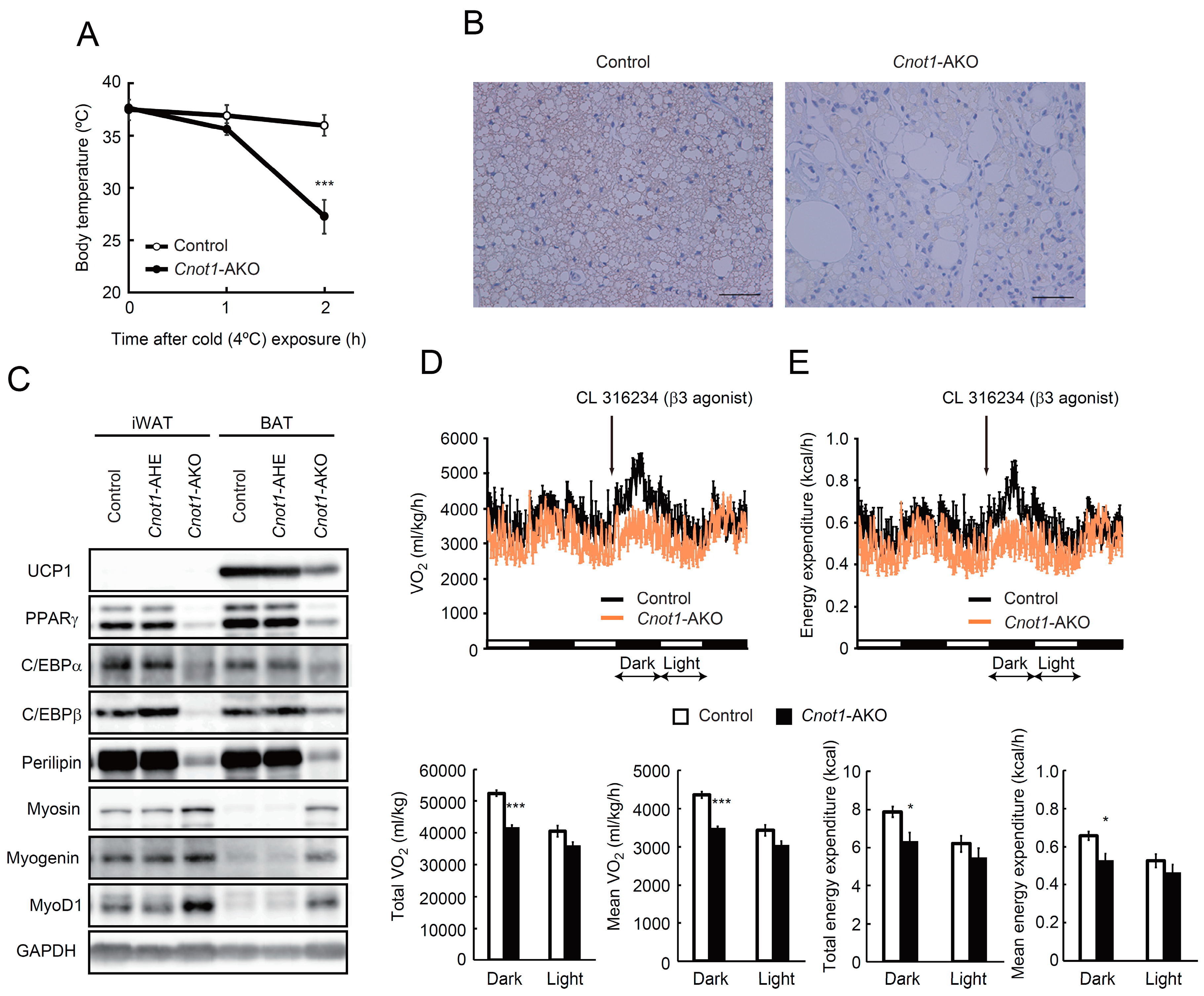 Ijms 20 05274 g003 Ijms 20 05274 g003
